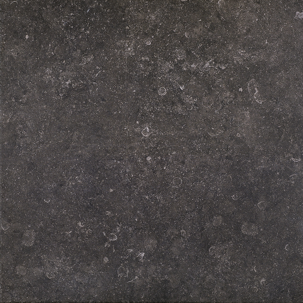 Stonevolution Zwart