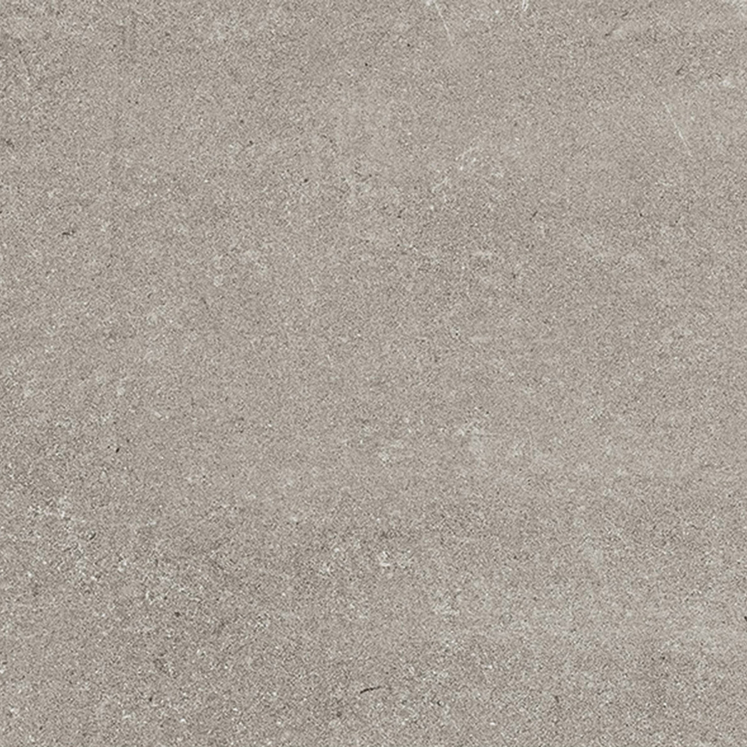 Display product Marstood | Stone 02 | Serena | 60x120 matt from manufacturer TERRATINTA GROUP