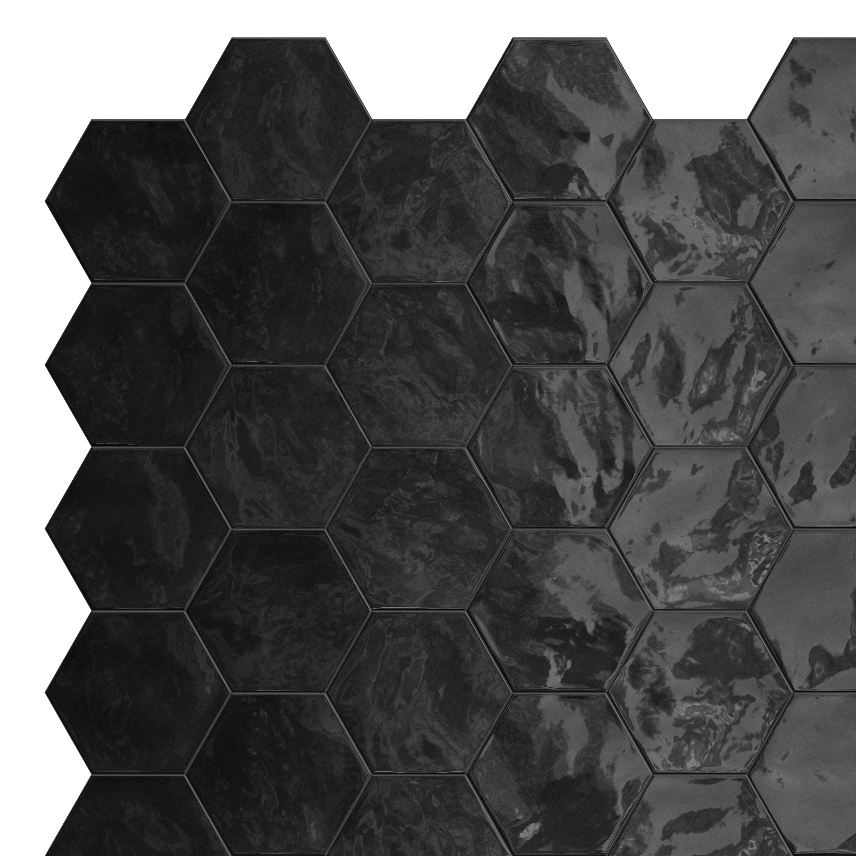 Hexa | Wall Black Swan