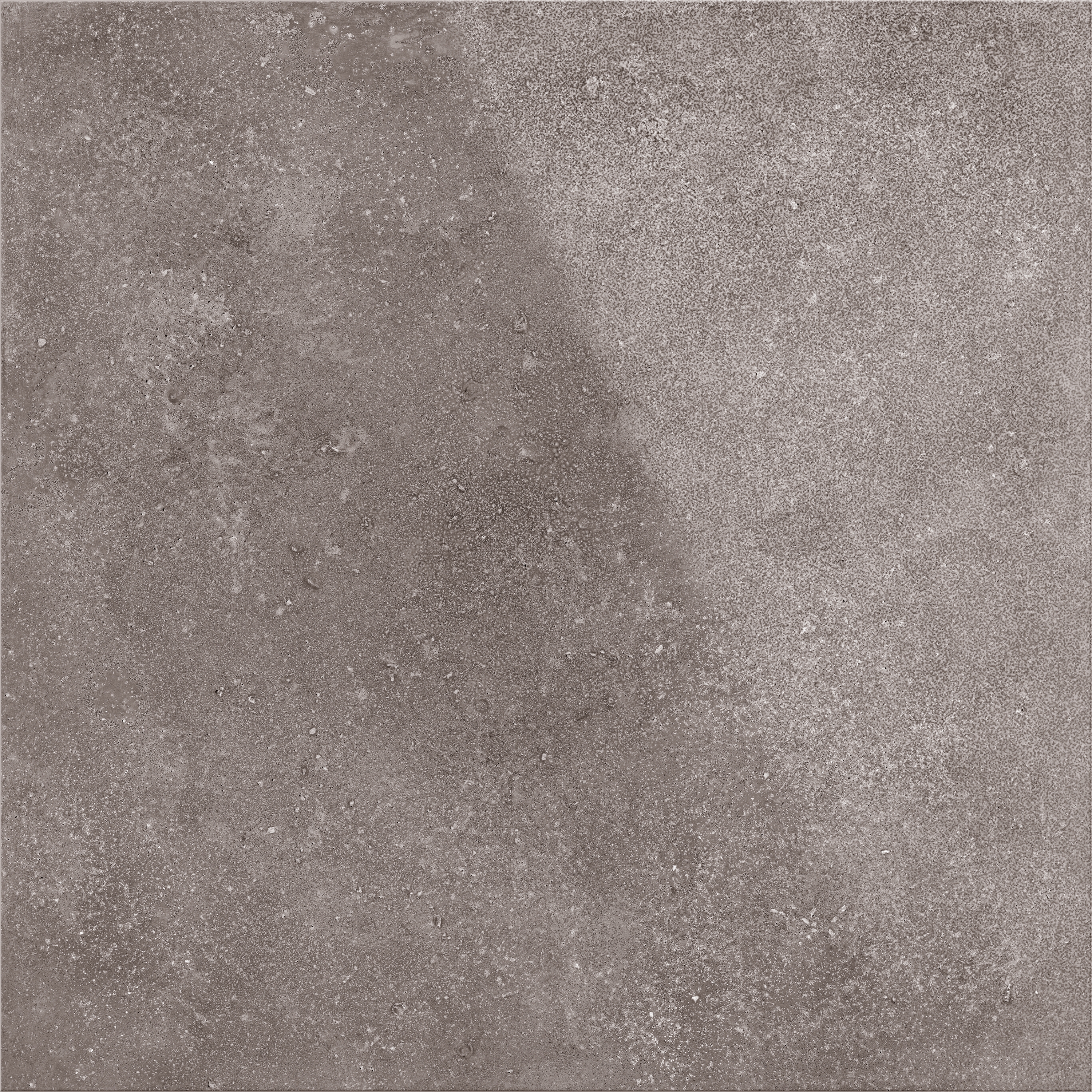 Stonenature Fossil wet