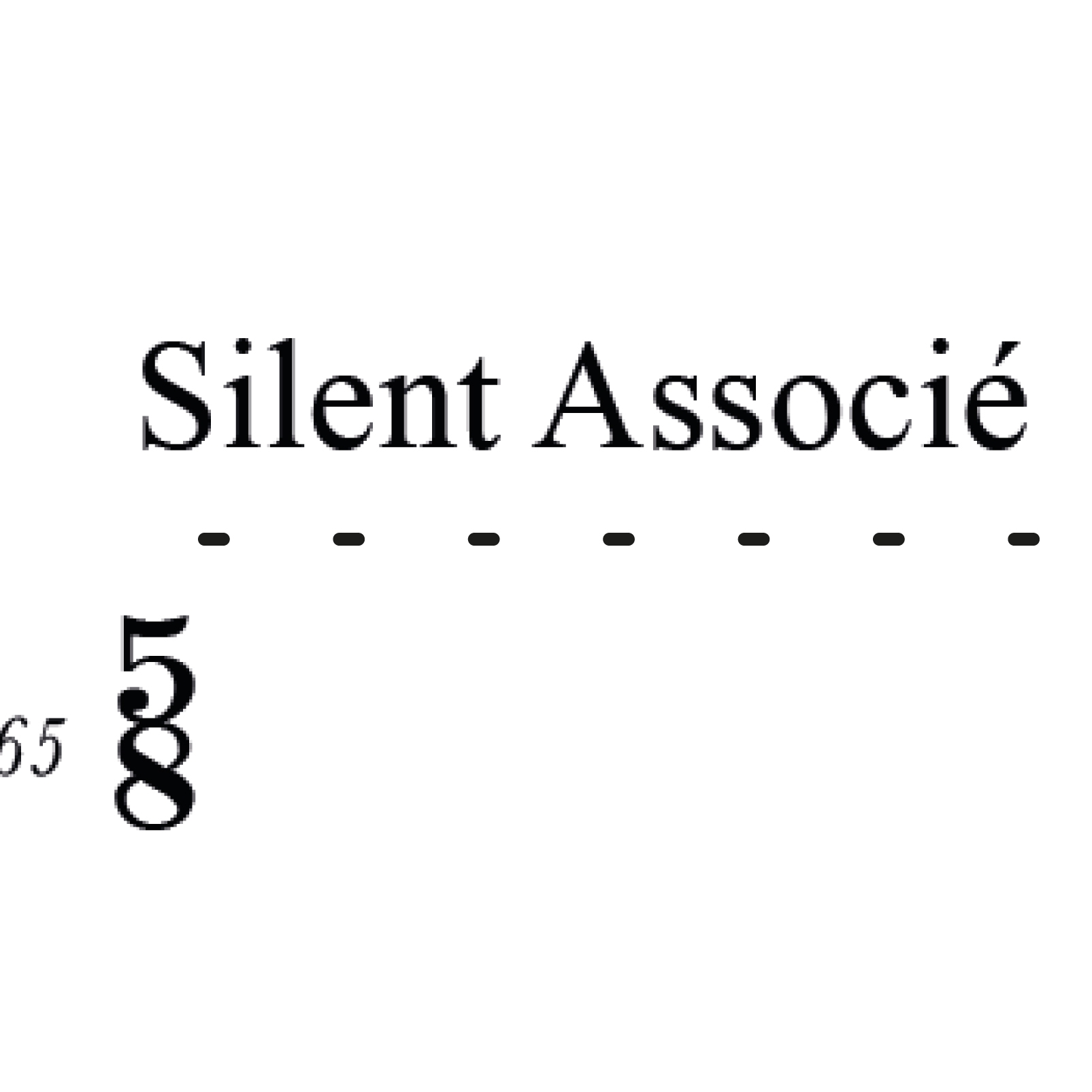 SILENT ASSOCIÉ 2017
