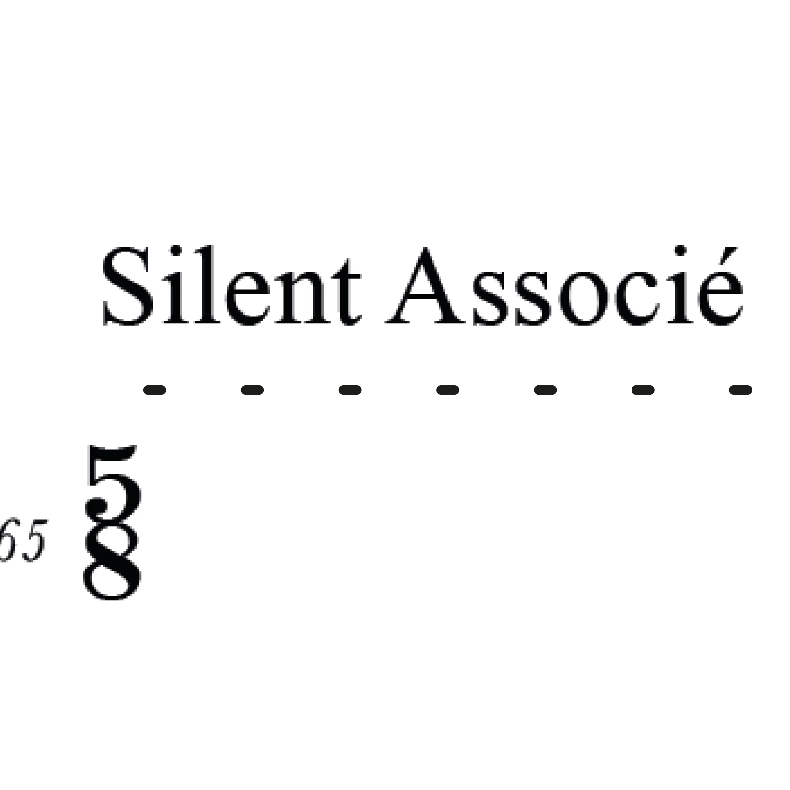 SILENT ASSOCIÉ 2017