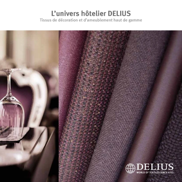 Preview image for the file L’univers hôtelier DELIUS