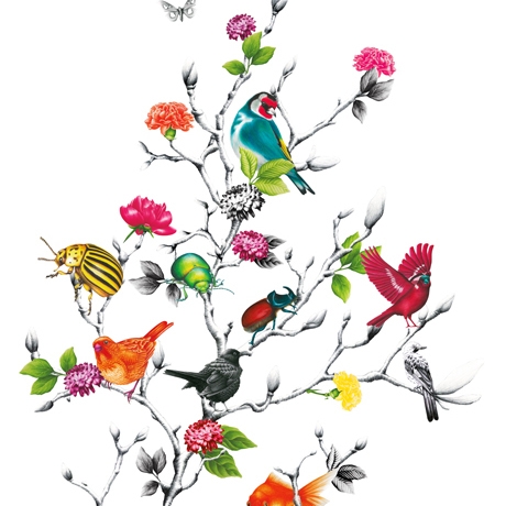 Display product Acrobat Desiree-Chintz from manufacturer DELIUS
