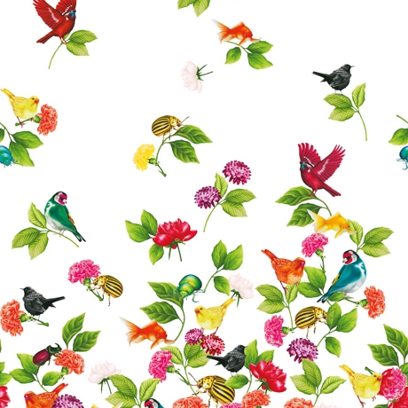 Applause Desiree-Chintz