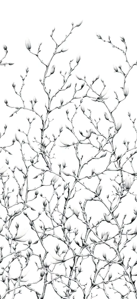 DELIUS - Twigs Desiree-Chintz