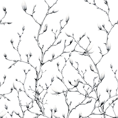 Produkt Twigs Desiree-Chintz des Herstellers DELIUS anzeigen