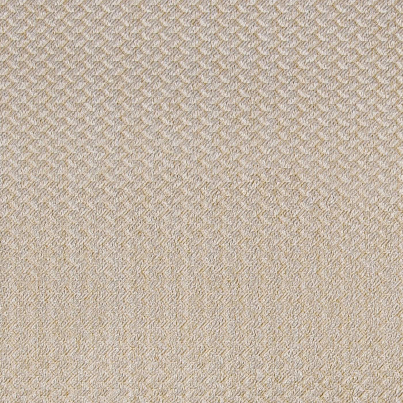 Alerion DIMOUT | 1551