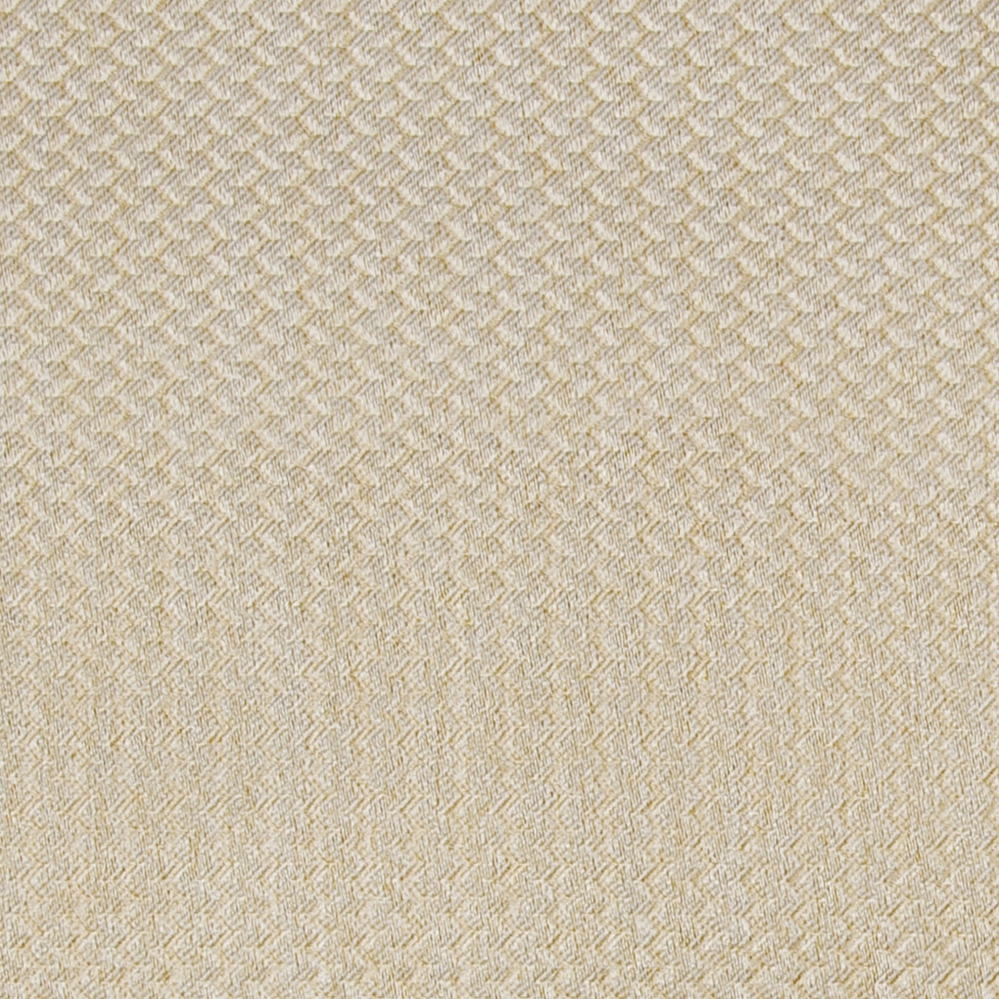 Alerion DIMOUT | 1552