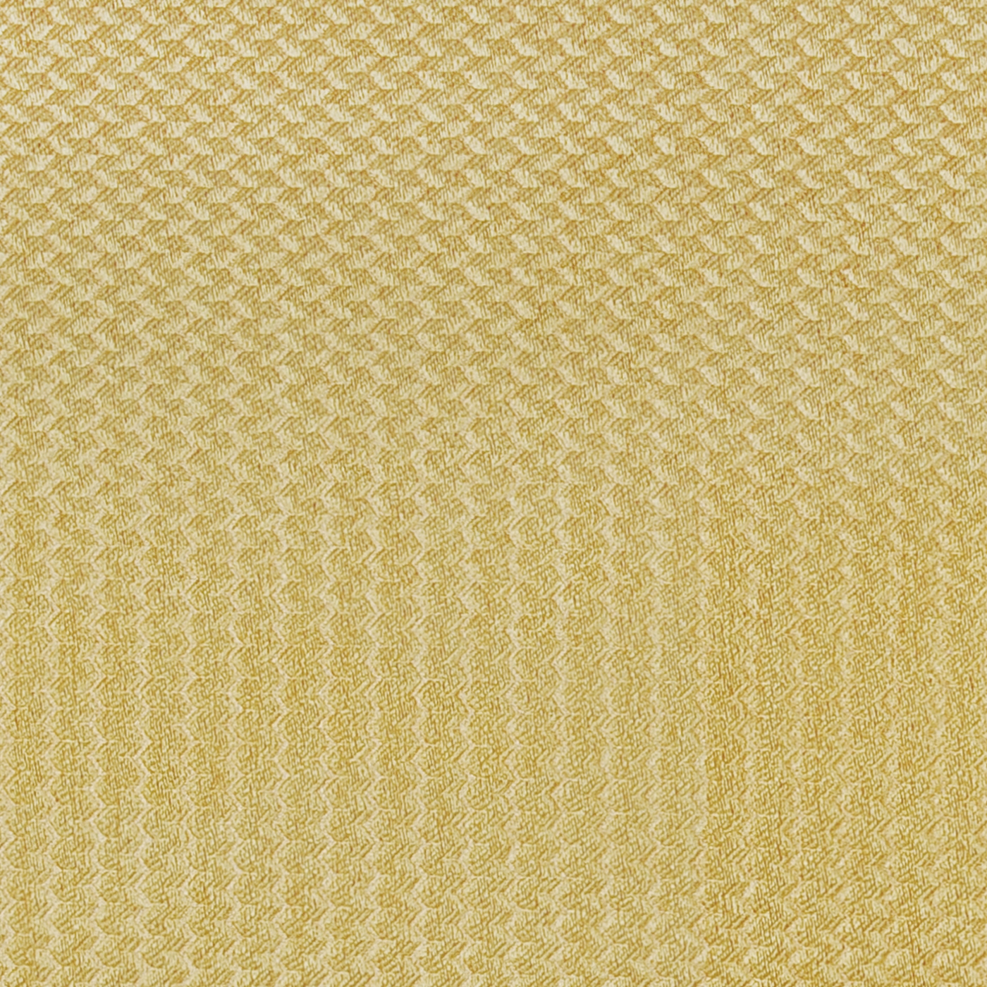 Alerion DIMOUT | 2551