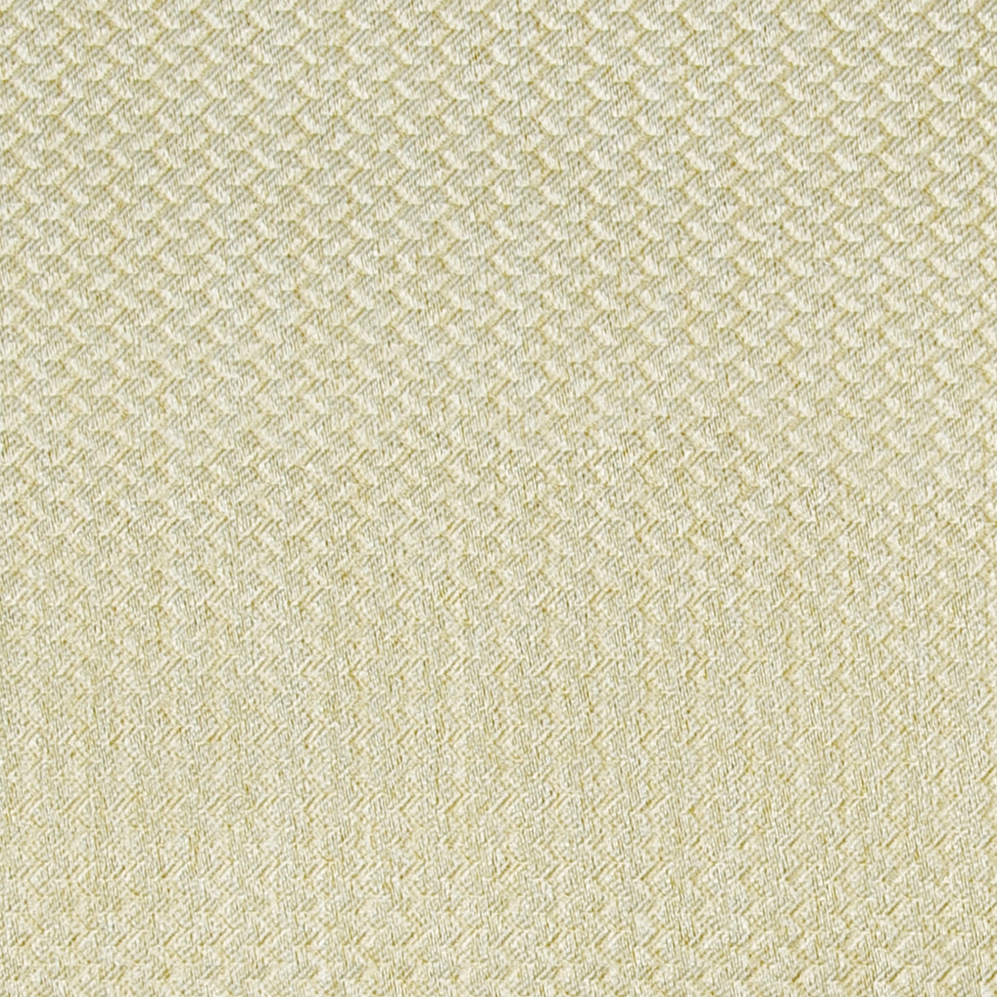 Alerion DIMOUT | 2552