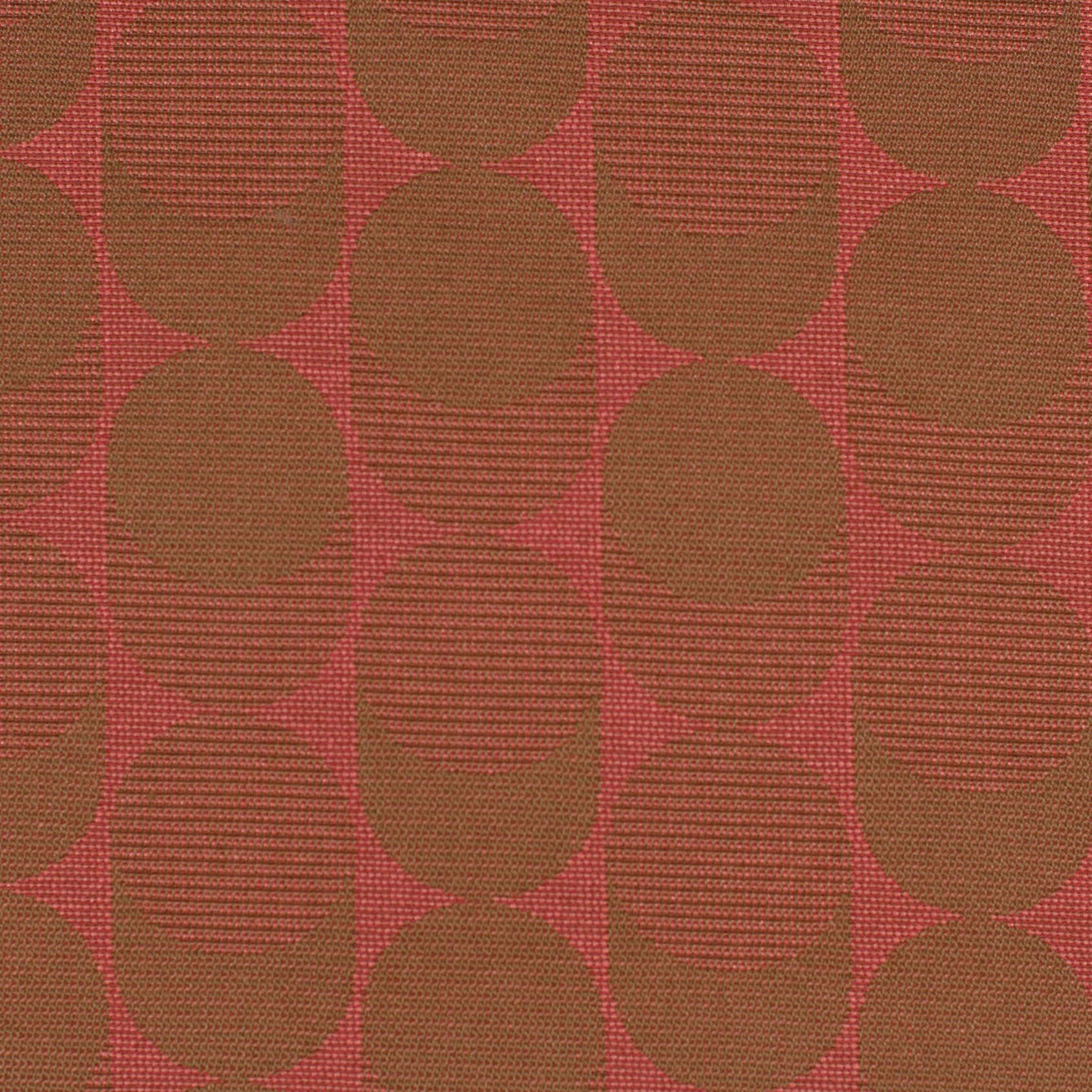 Curve | 3001