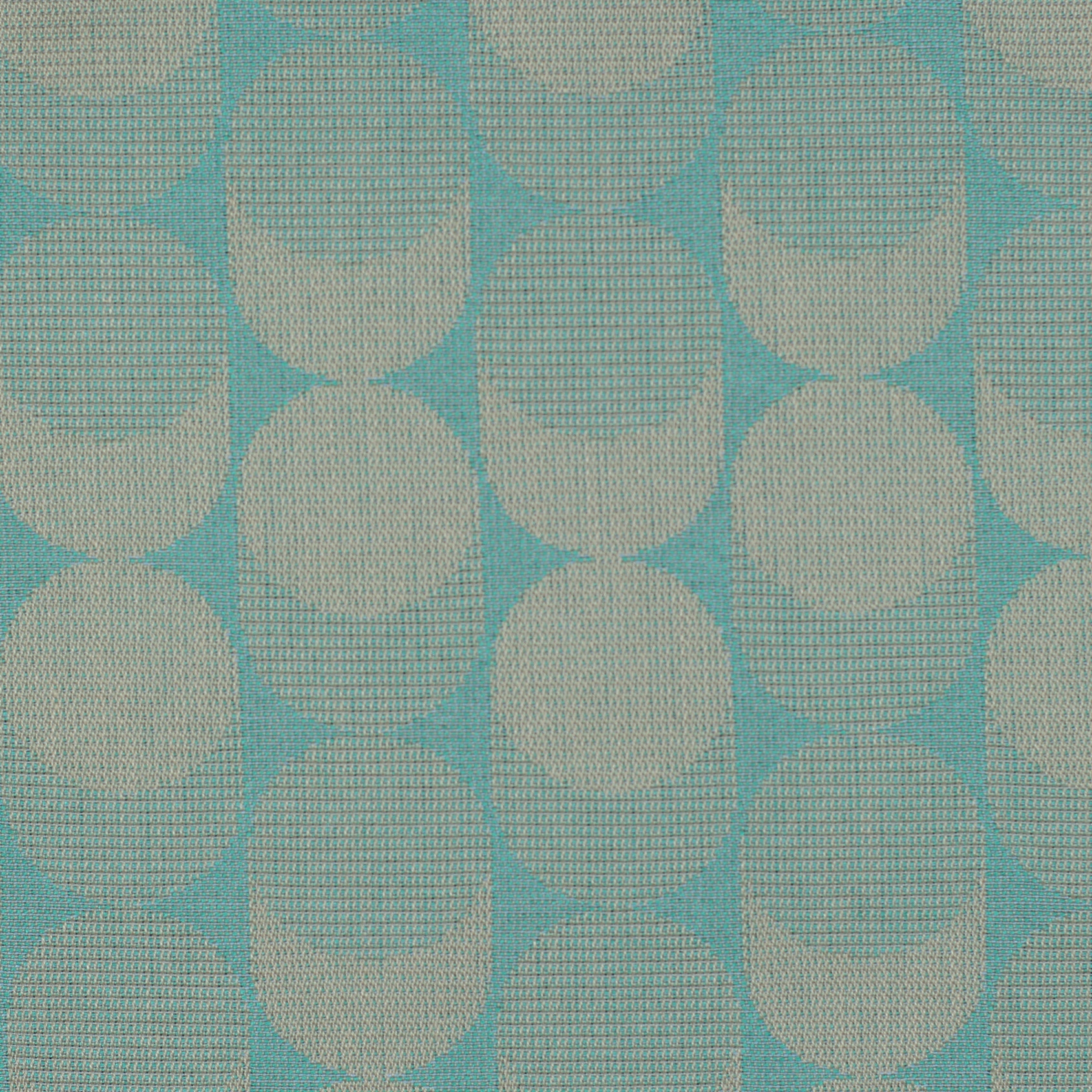 Curve | 6001