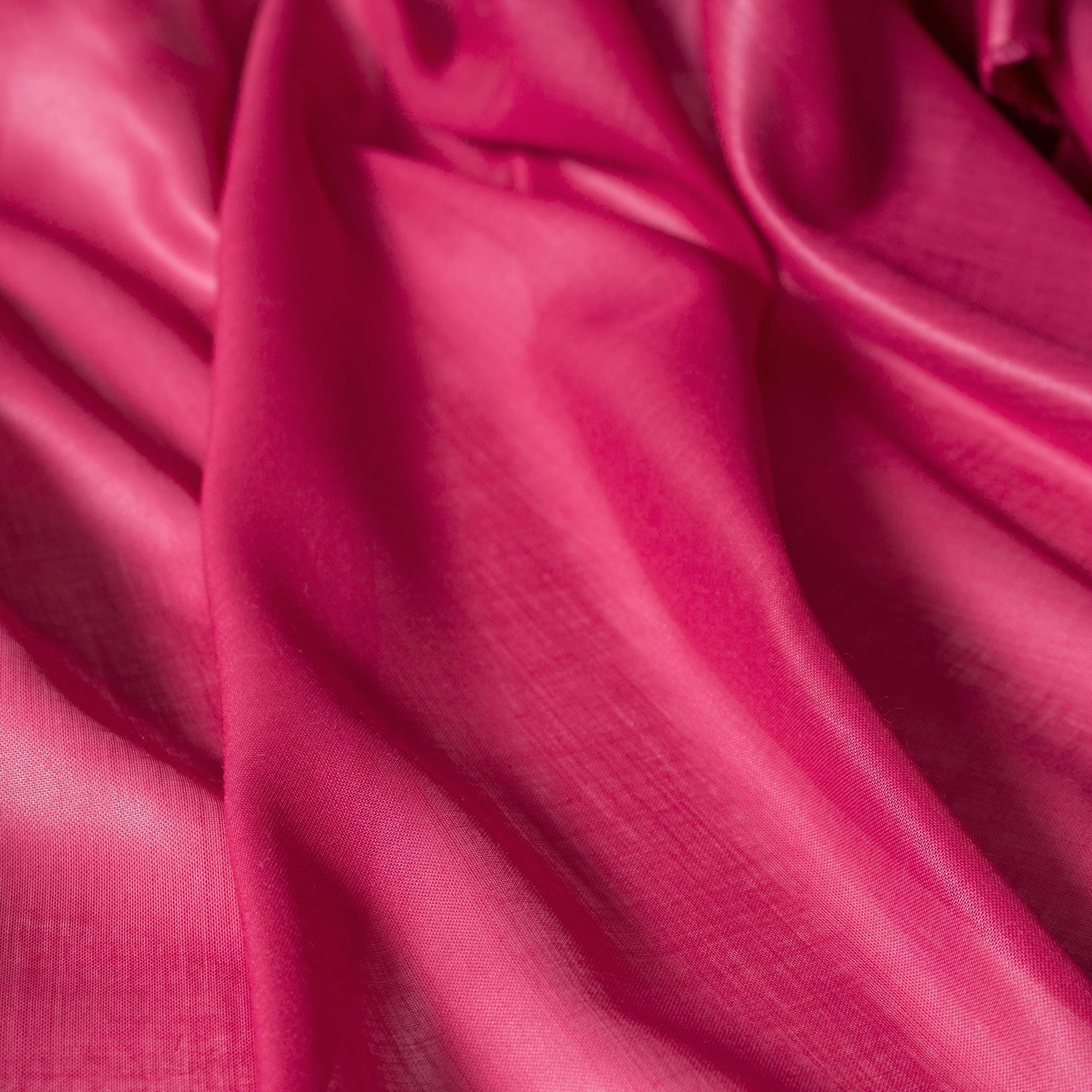 Desiree Chintz | 3213