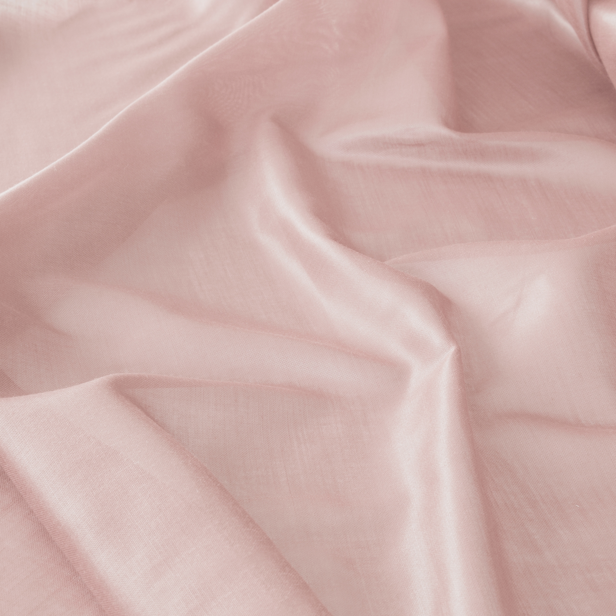 Desiree Chintz | 4111