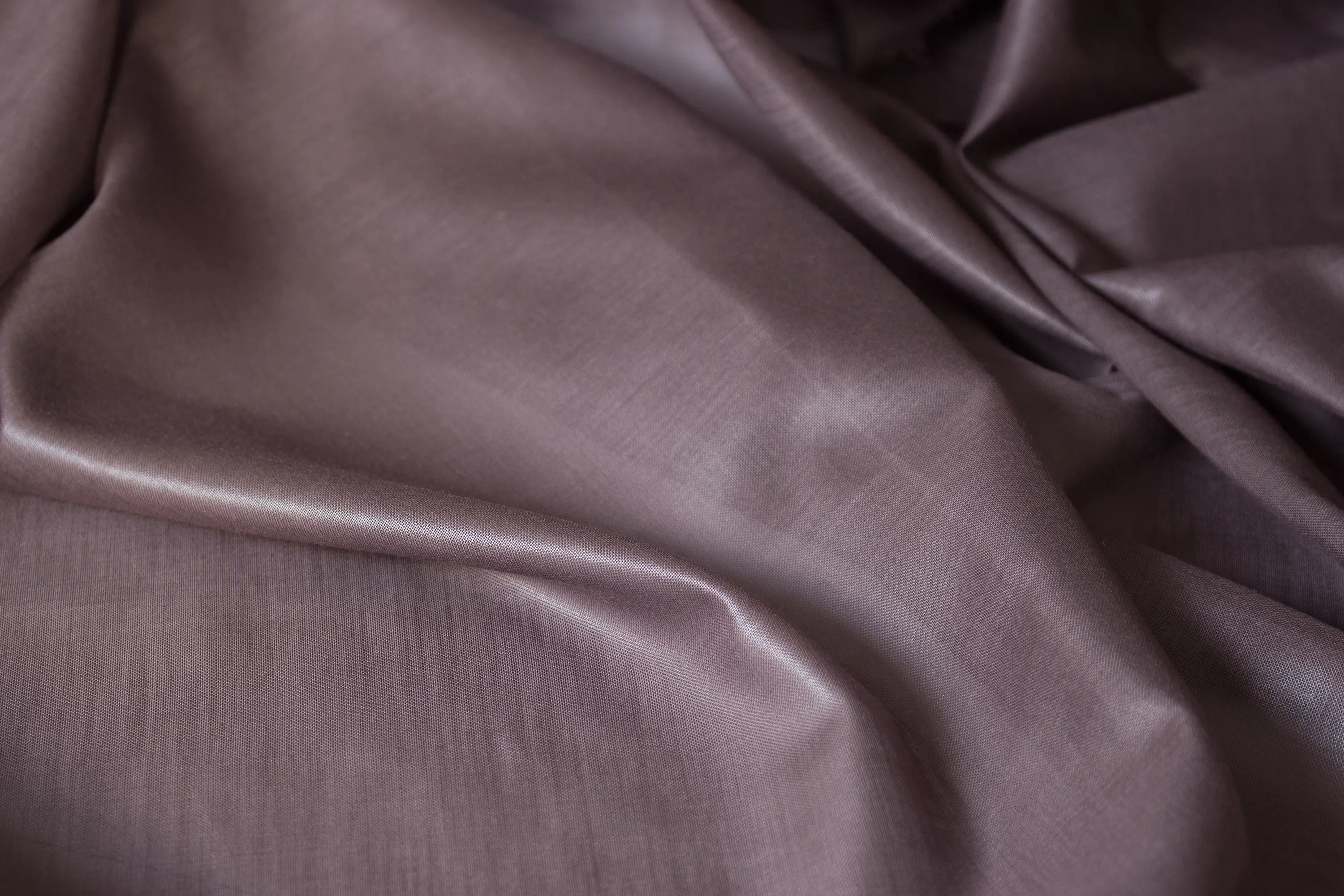 DELIUS - Desiree Chintz | 4210