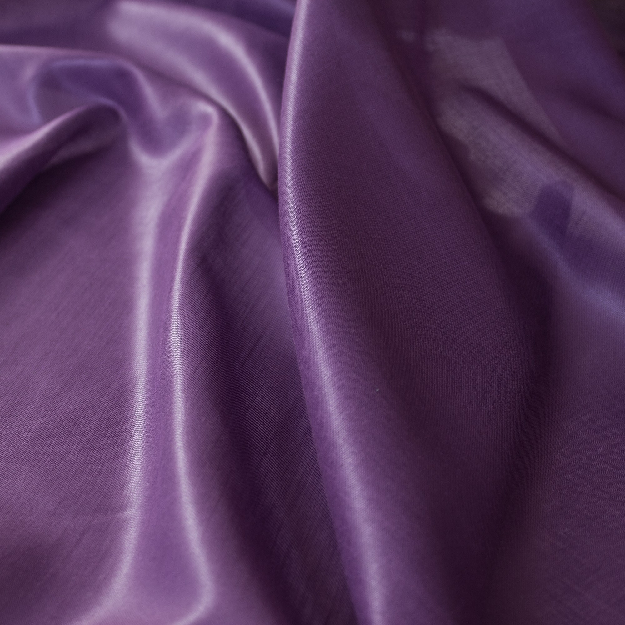 Desiree Chintz | 4212