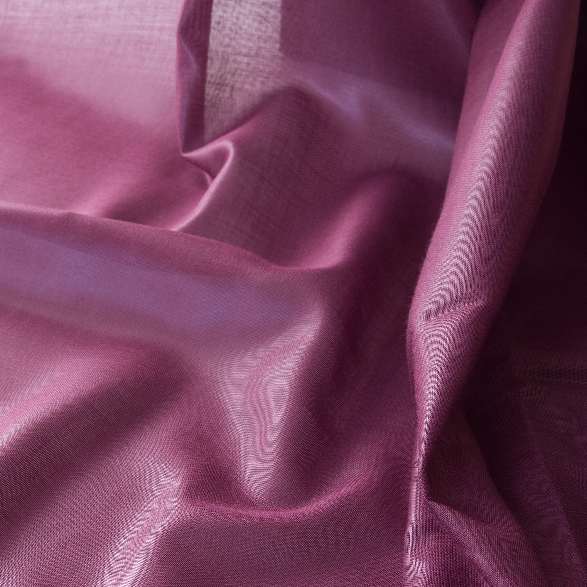Desiree Chintz | 4213