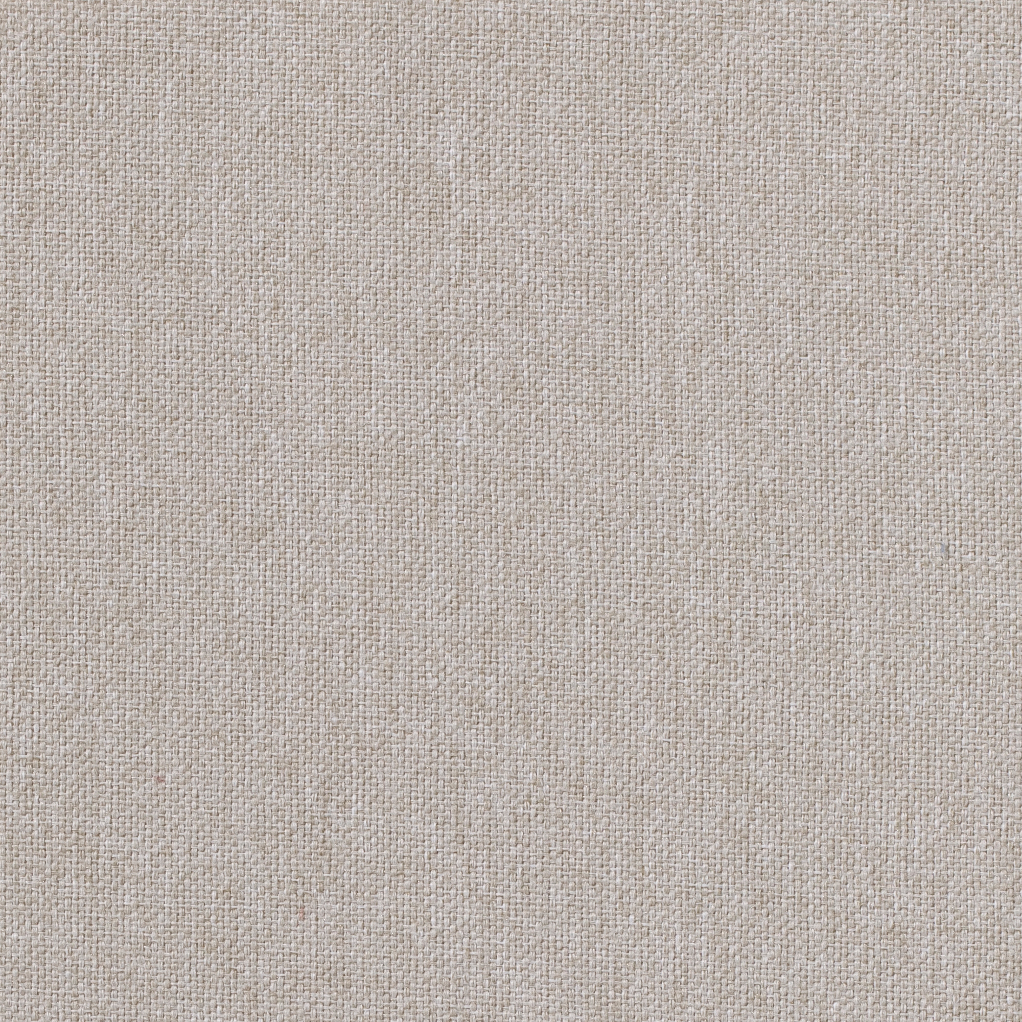 Gavi | 1551