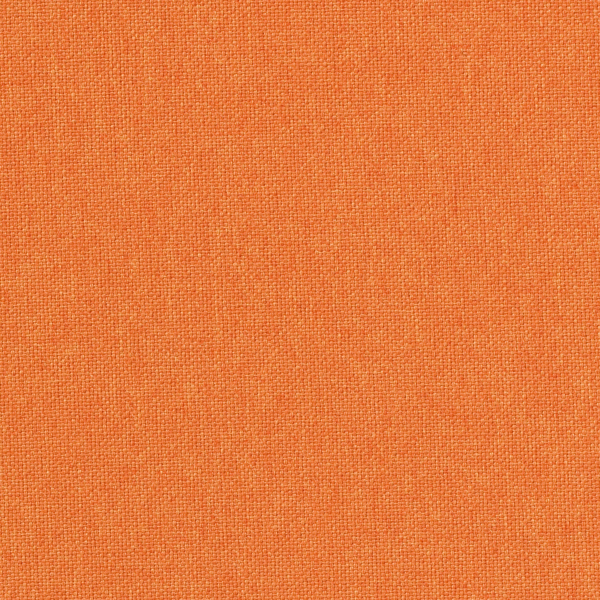 Gavi | 2551