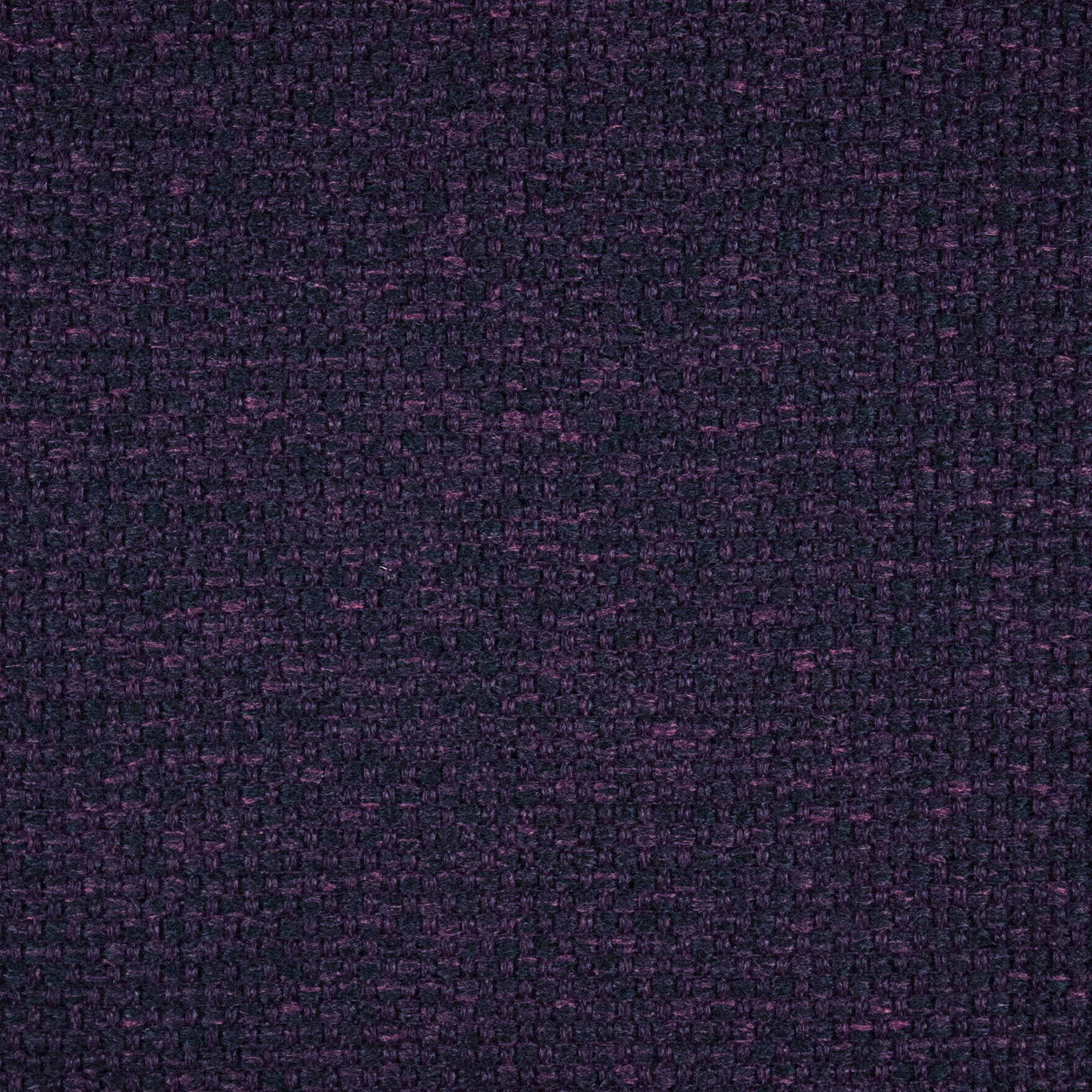 Gomez | 4550