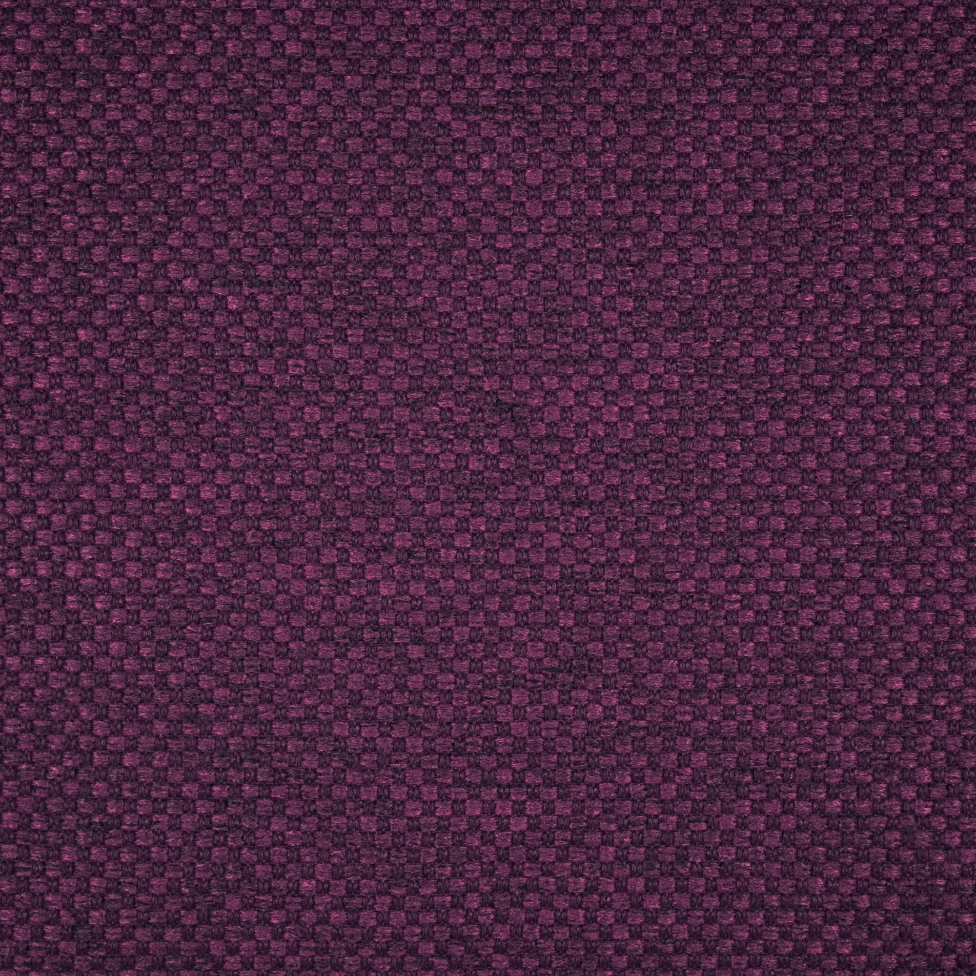 Gomez | 4551