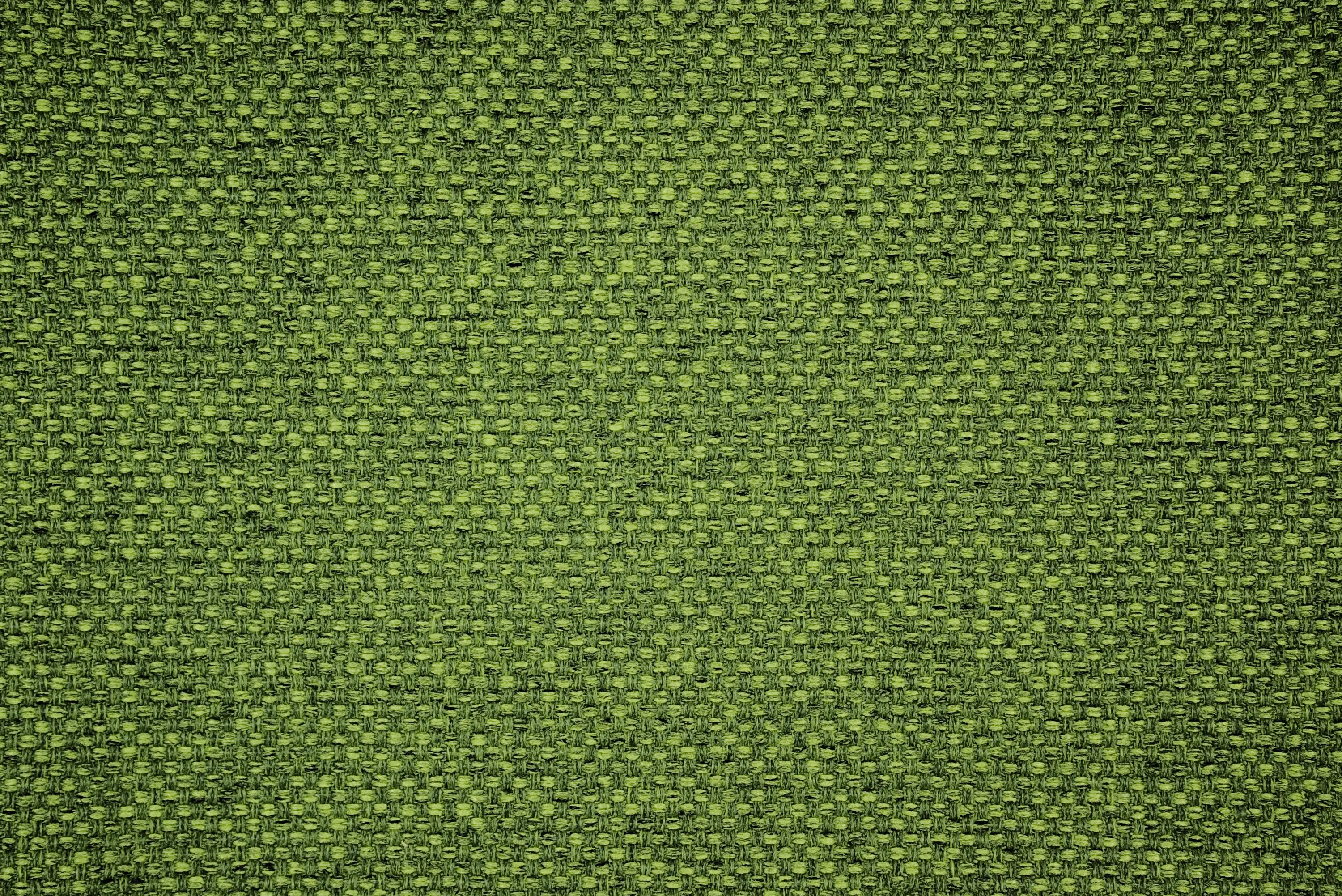 DELIUS - Gomez | 6550