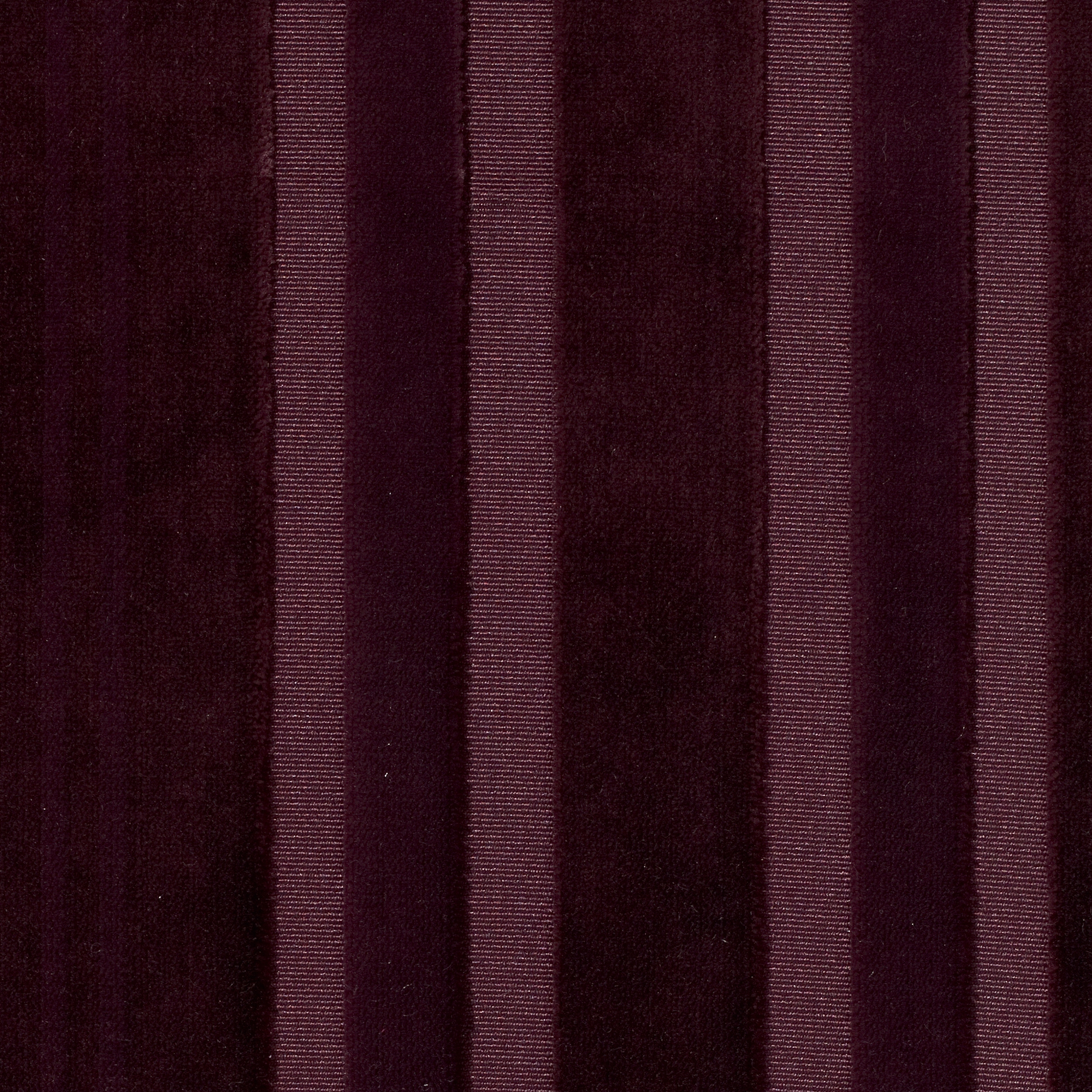 Justus | 4551