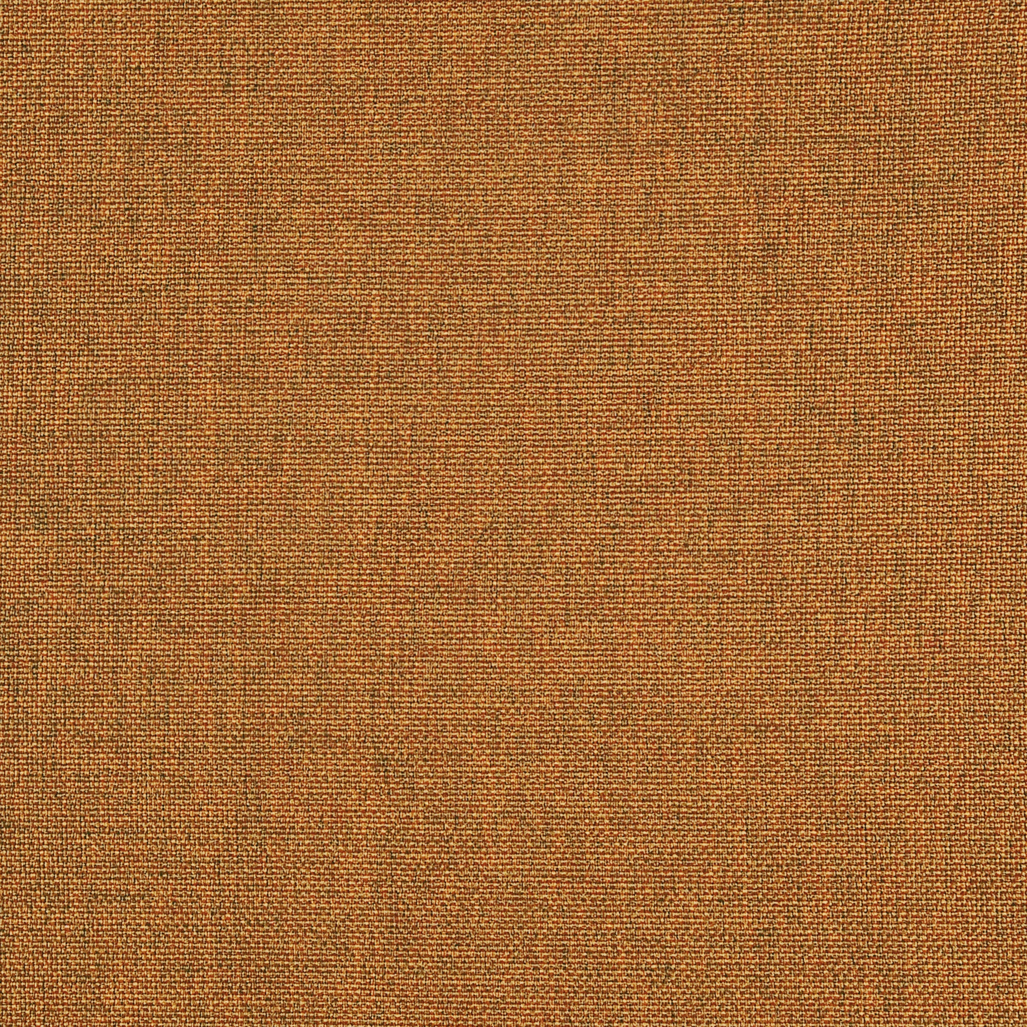 Luma | 2551