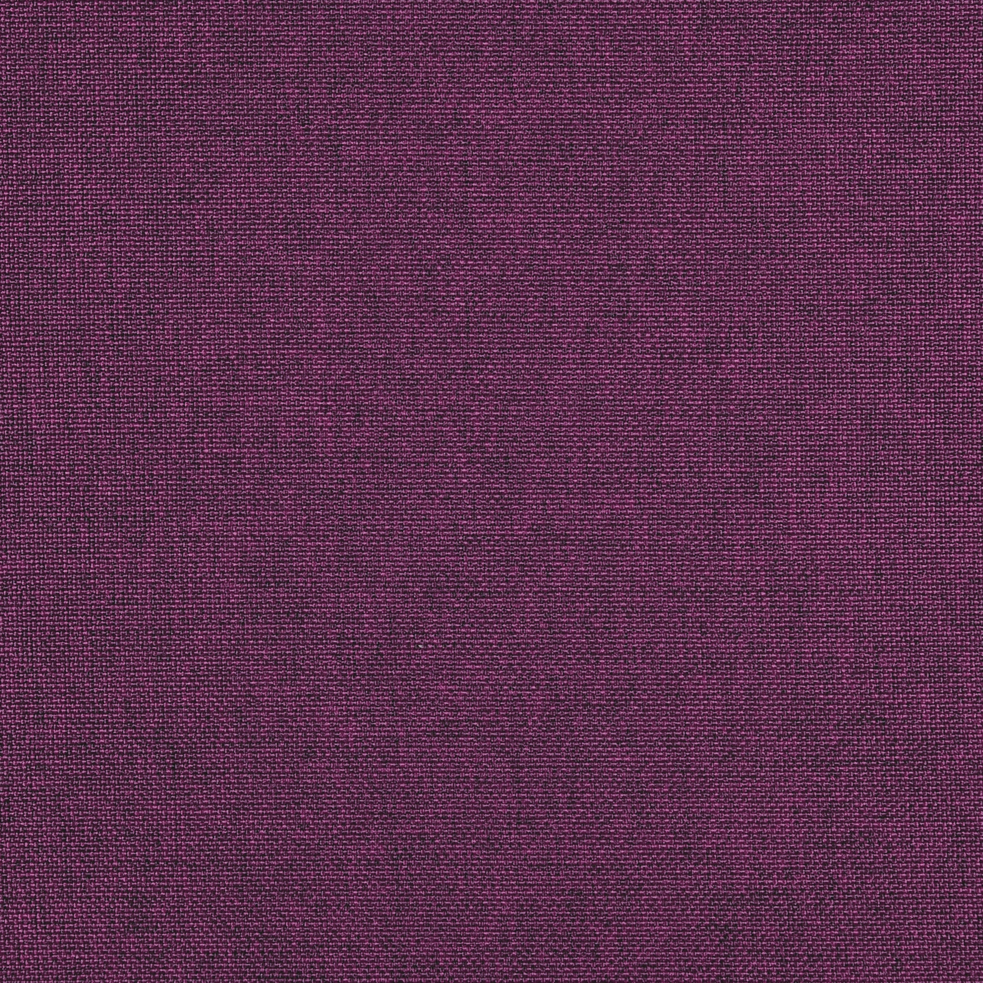 Luma | 4551