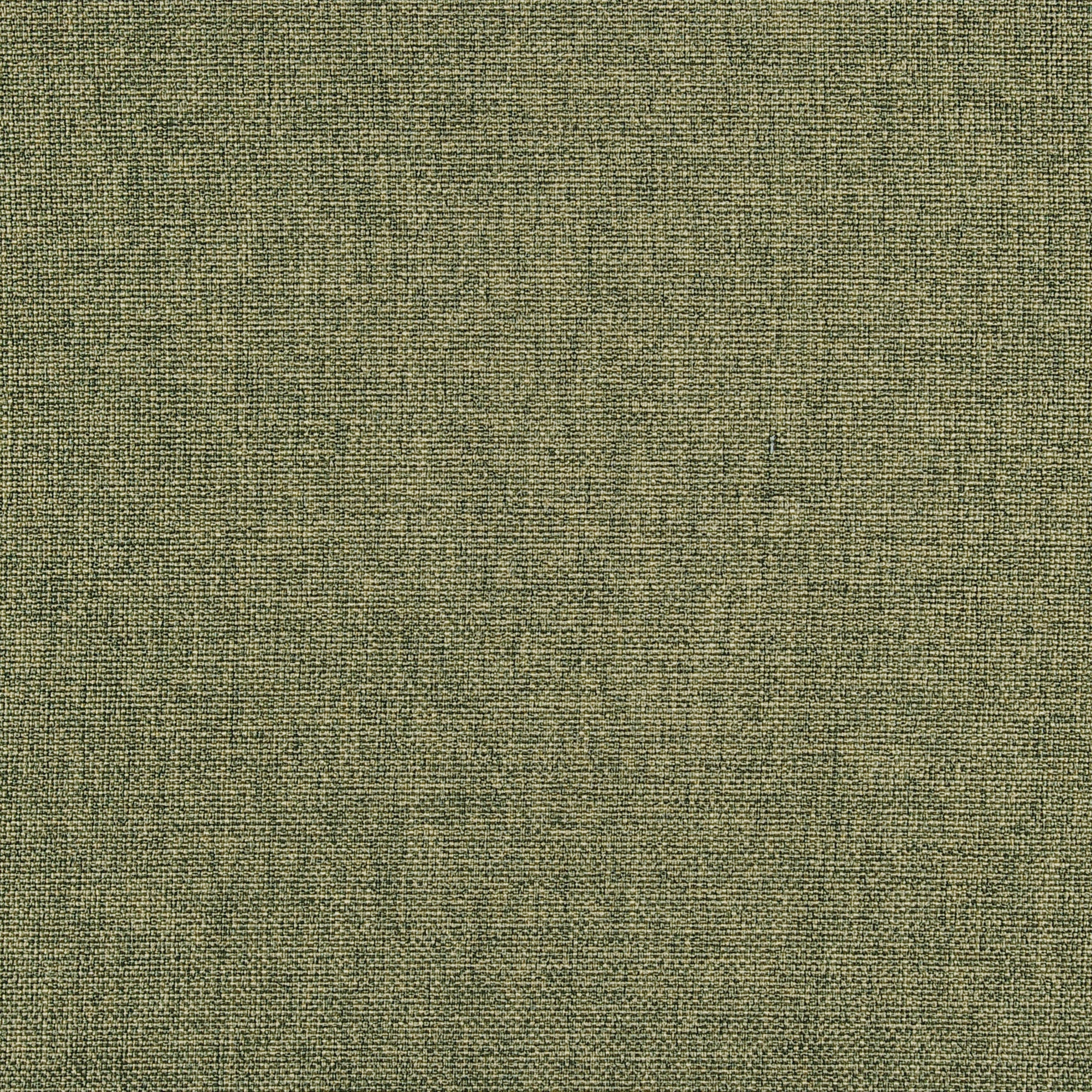 Luma | 6550