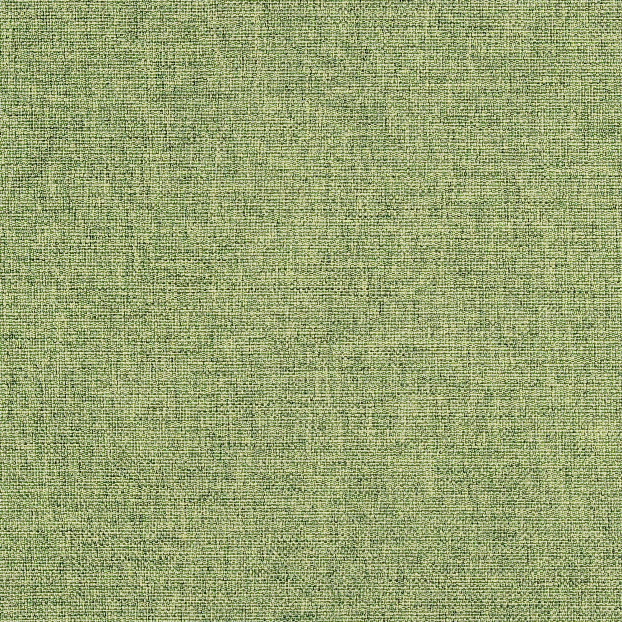 Luma | 6551