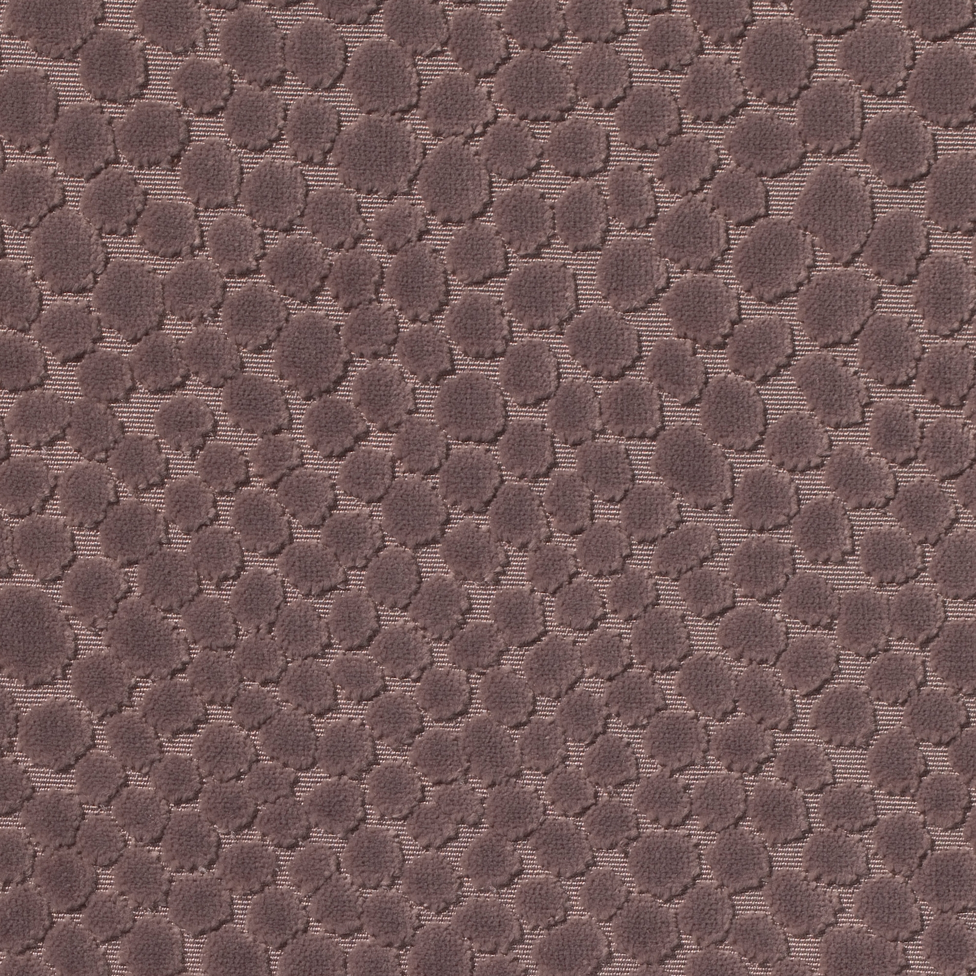 Odetta | 4550