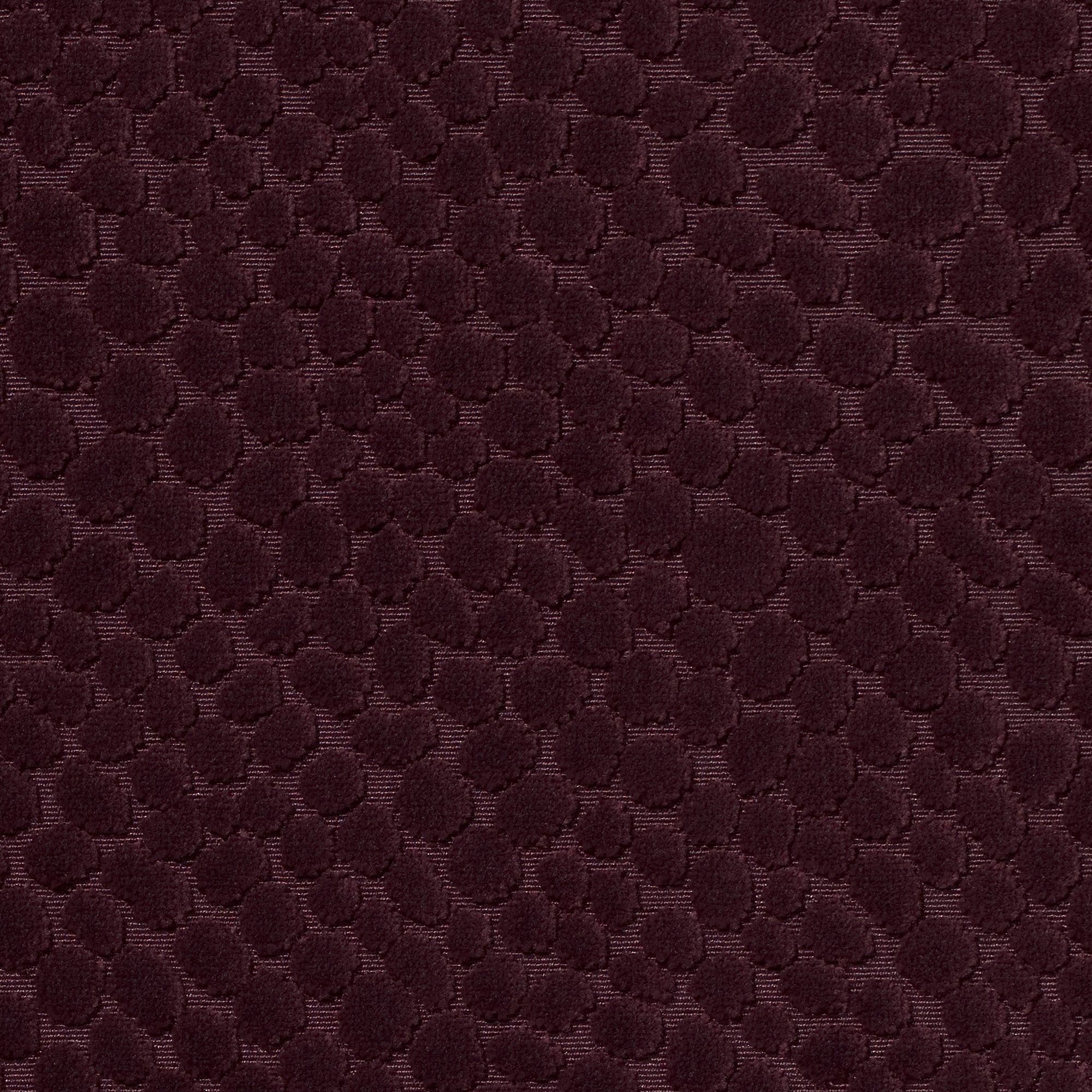 Odetta | 4551
