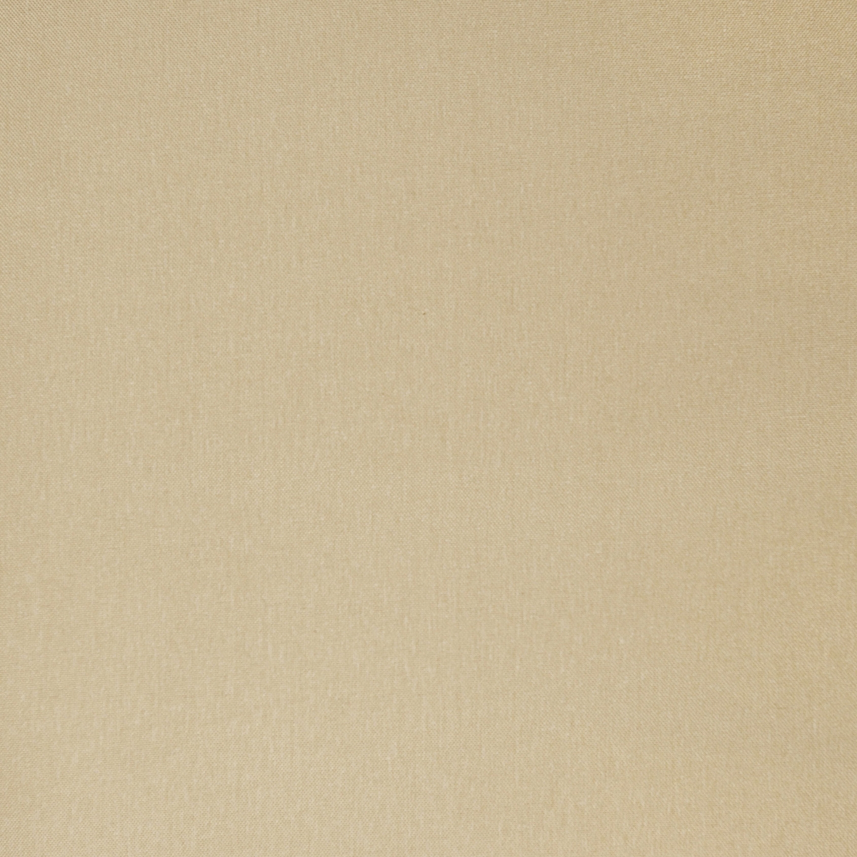 Orbit DELIBLACK | 1543