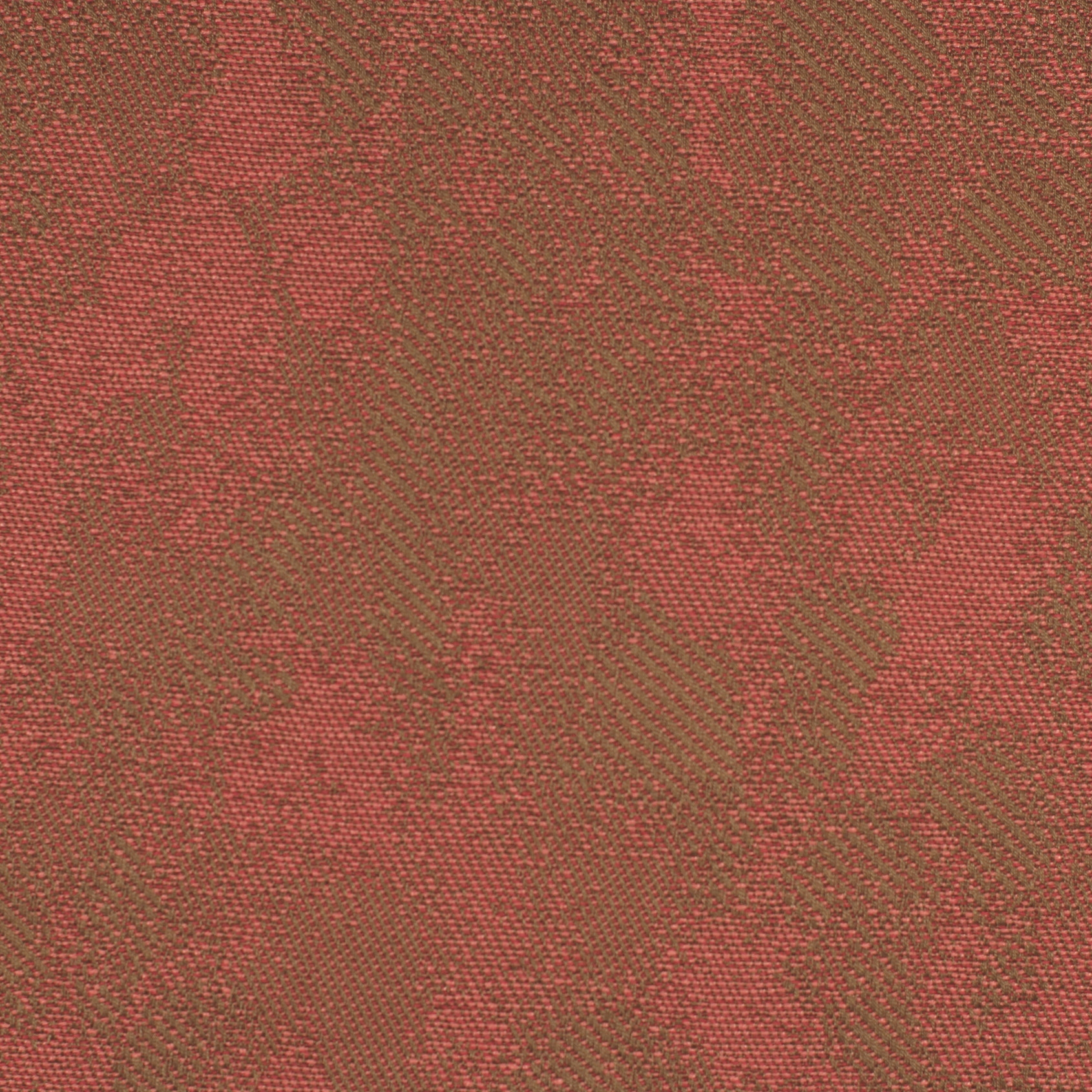 Pale | 3001