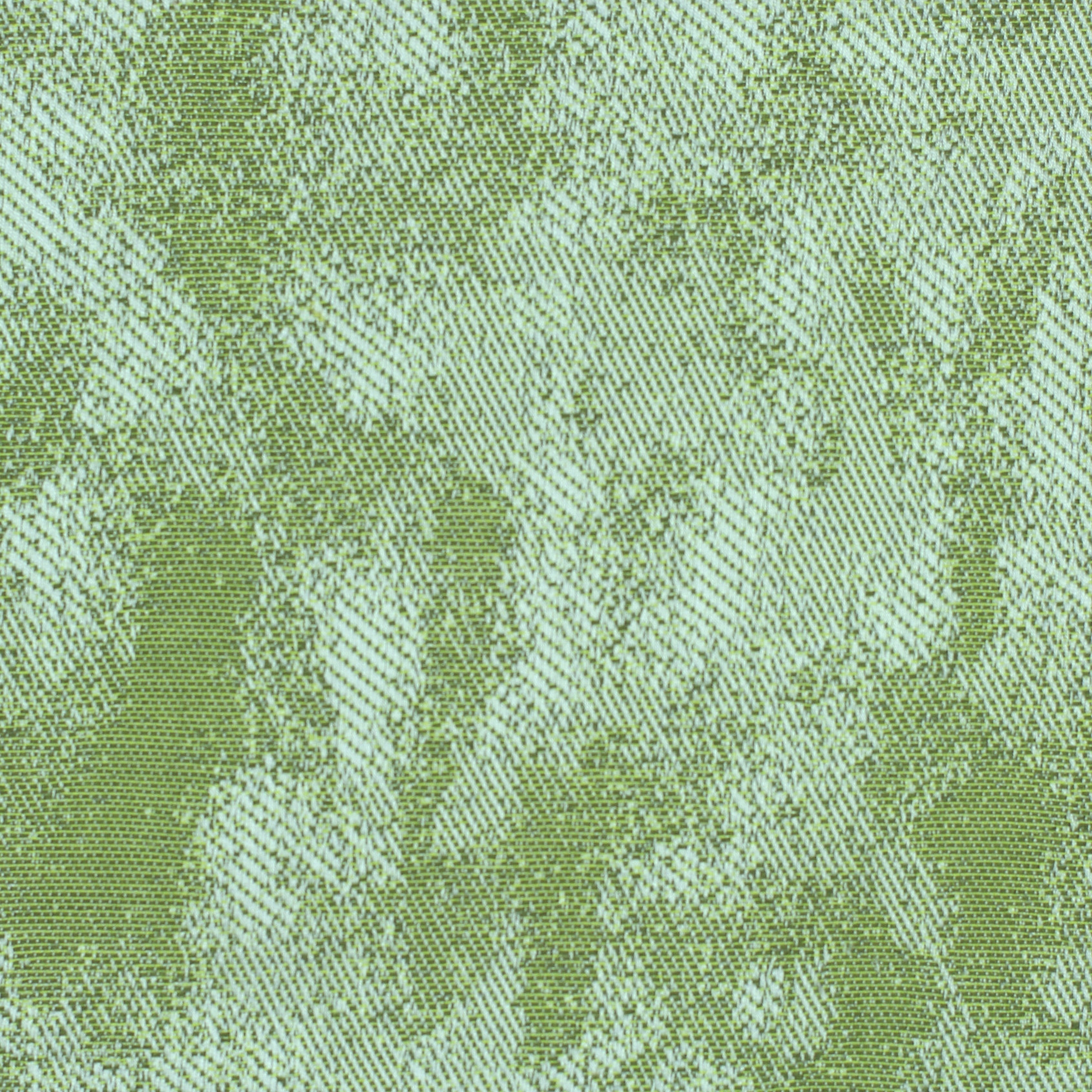 Pale | 6004