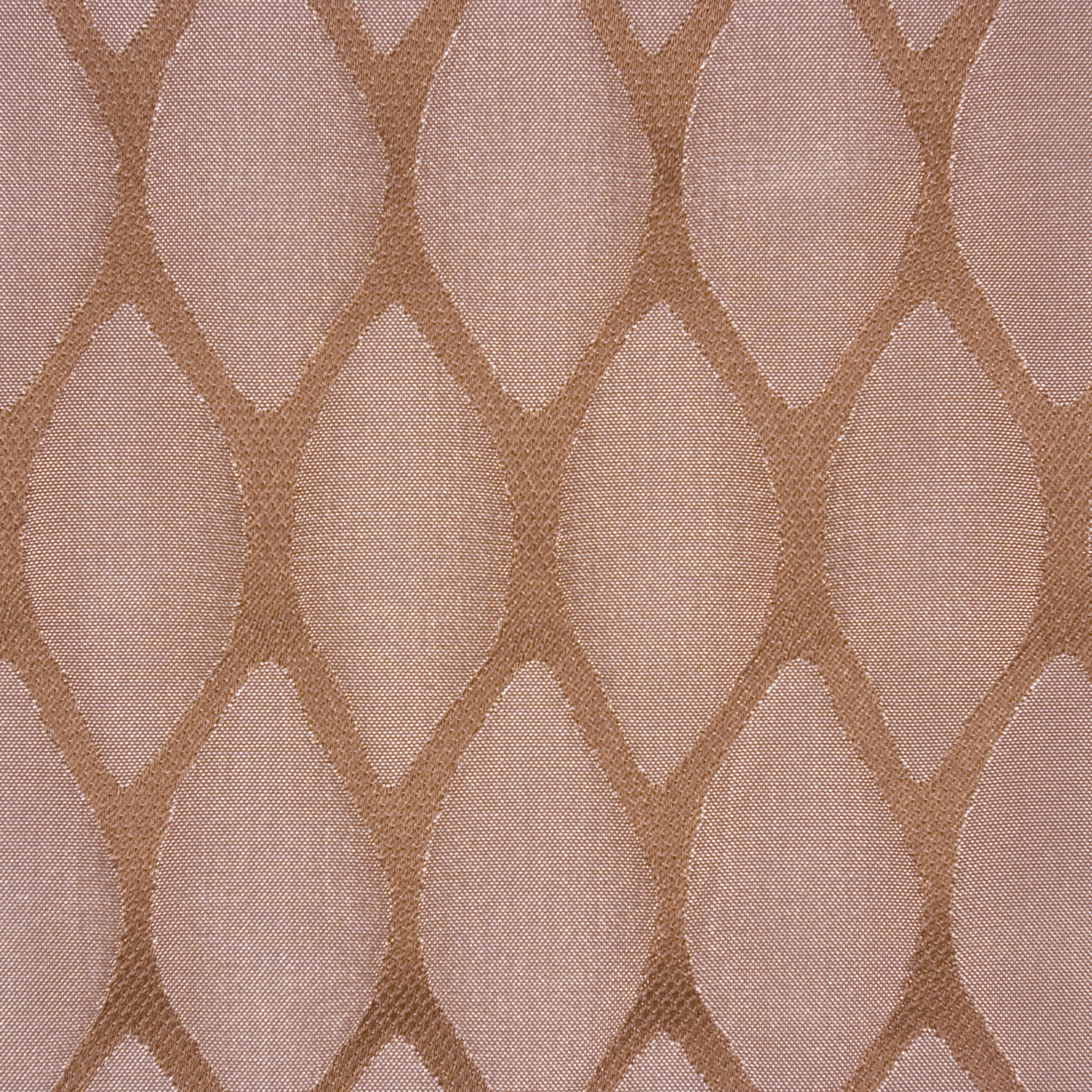 Pina | 1003