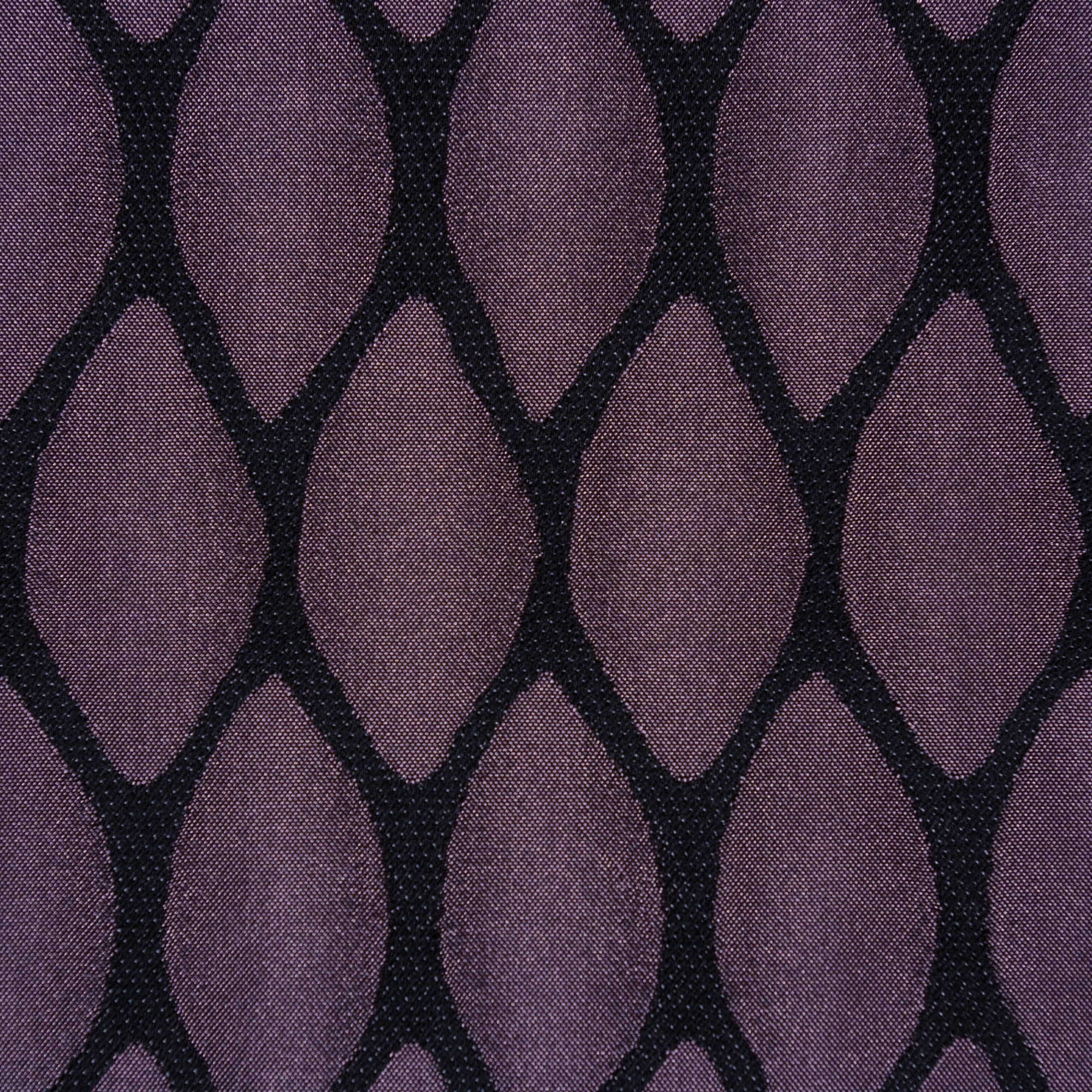 Pina | 4001