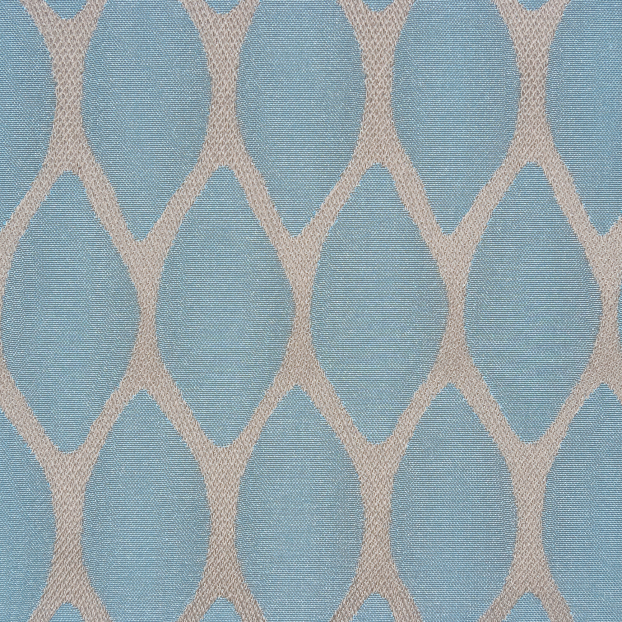 Pina | 5001