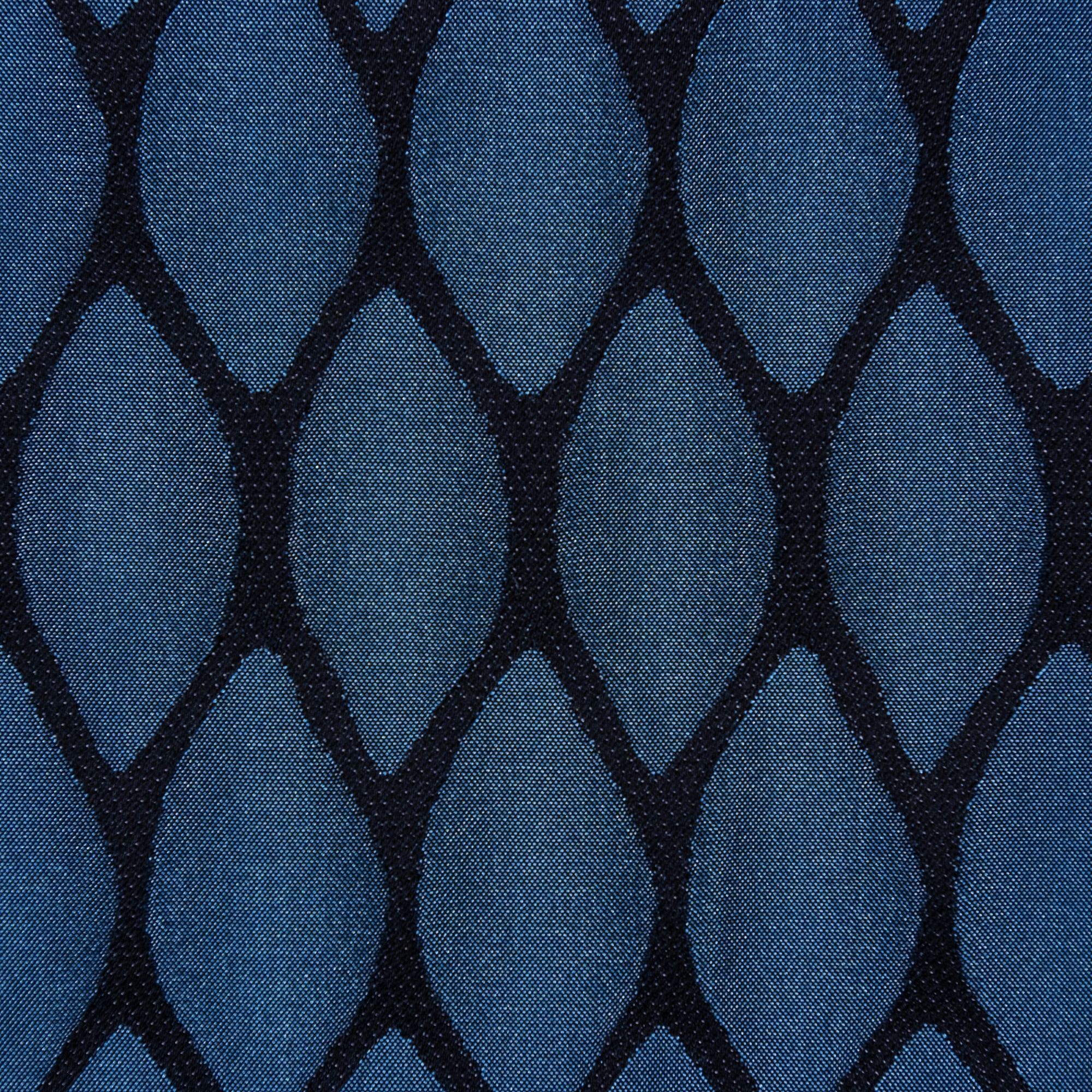 Pina | 5002