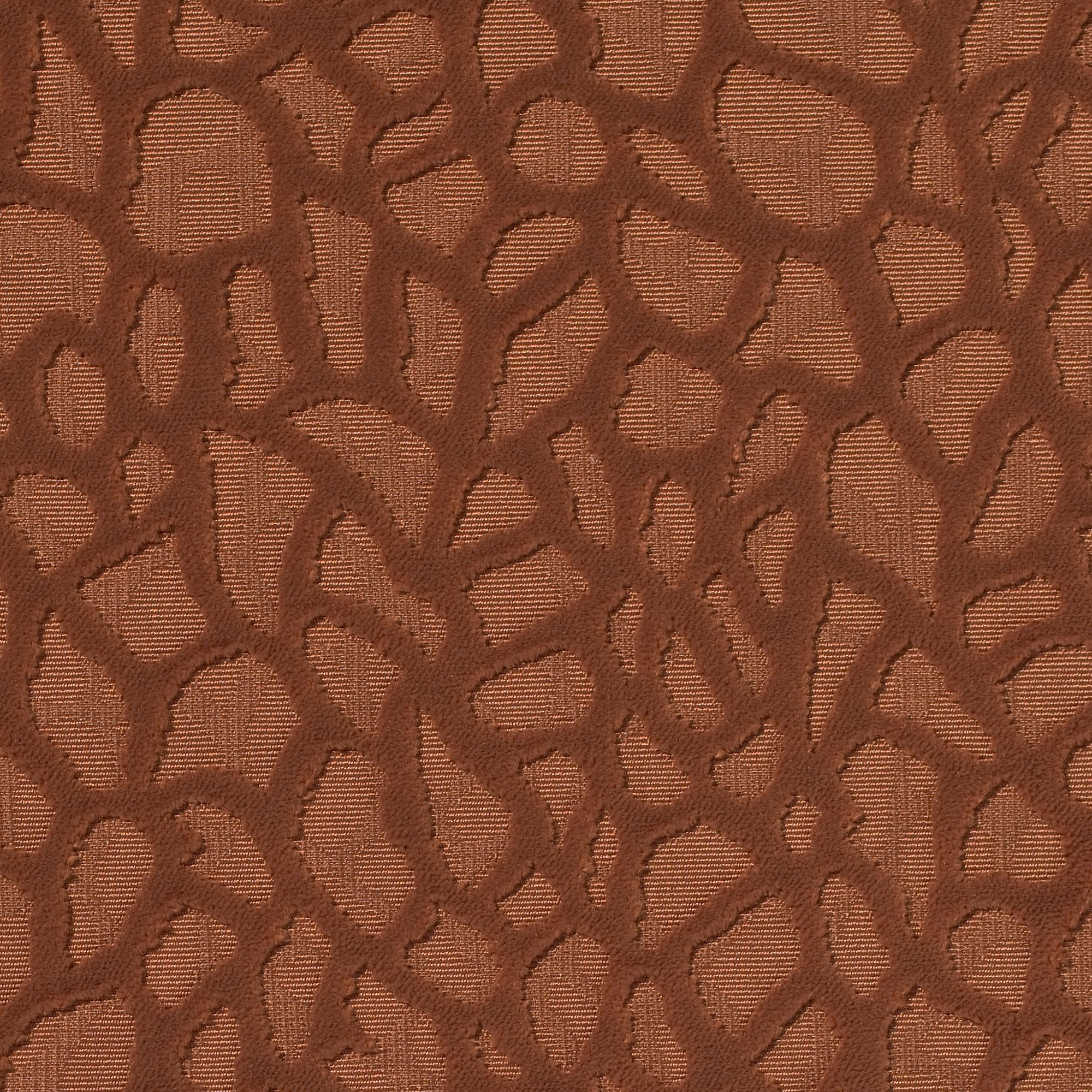 Viola | 3551