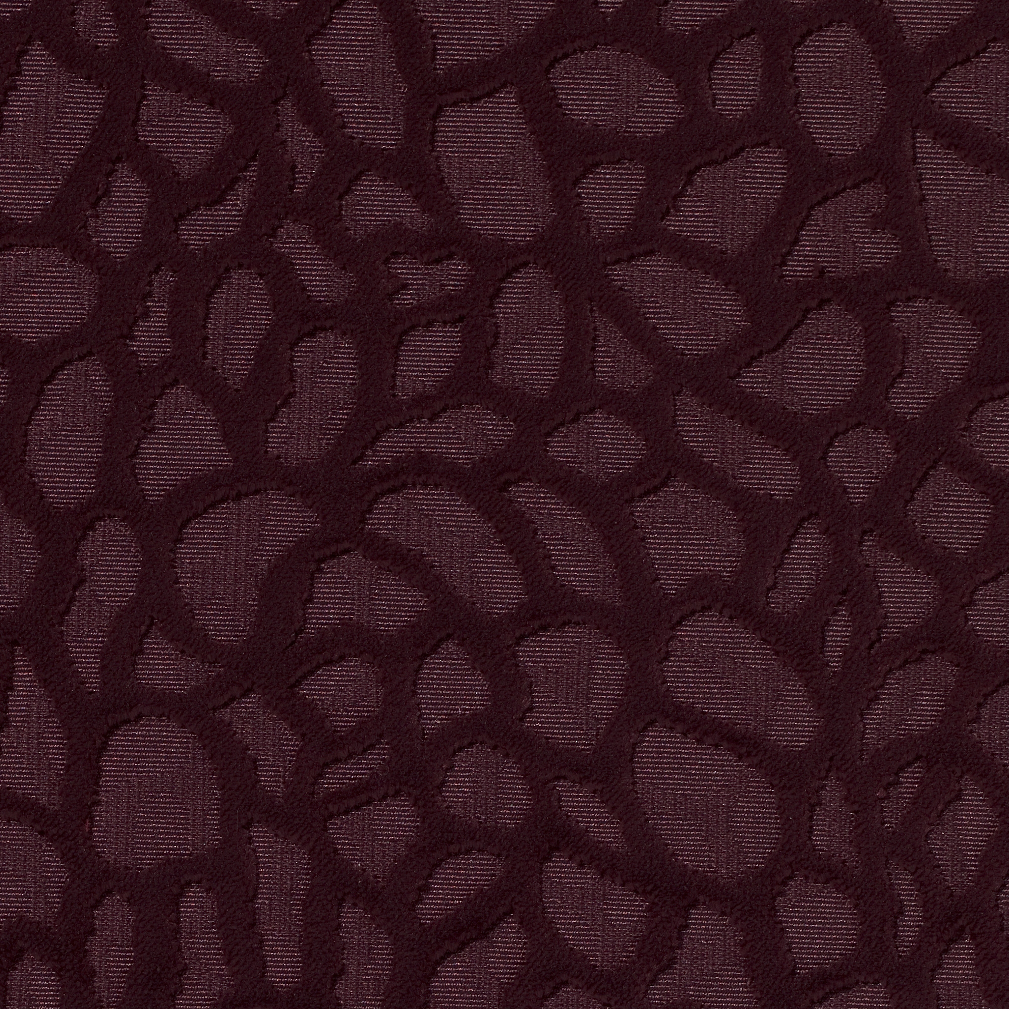Viola | 4551