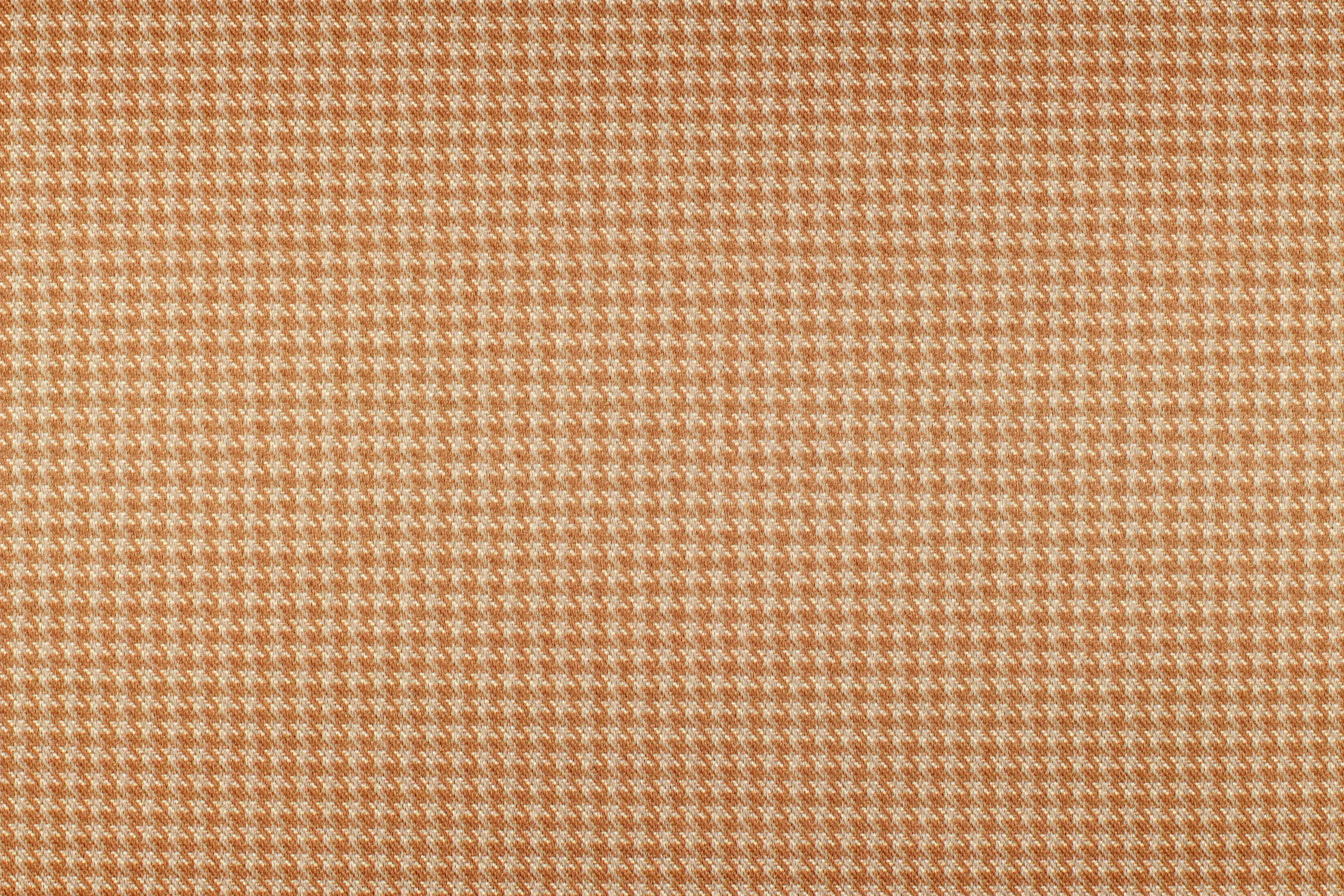 DELIUS - Henk DIMOUT | 2520