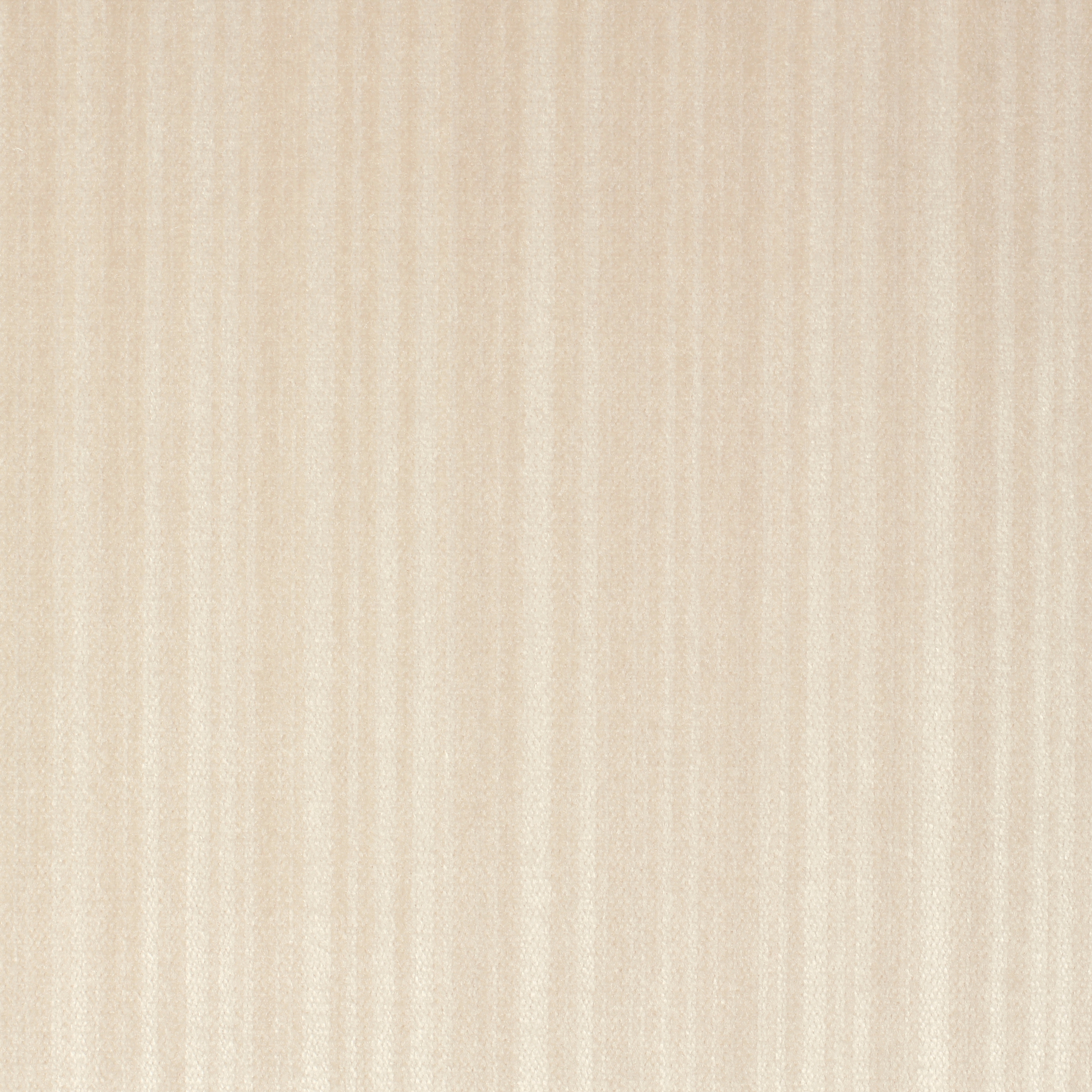 Palas | 1551