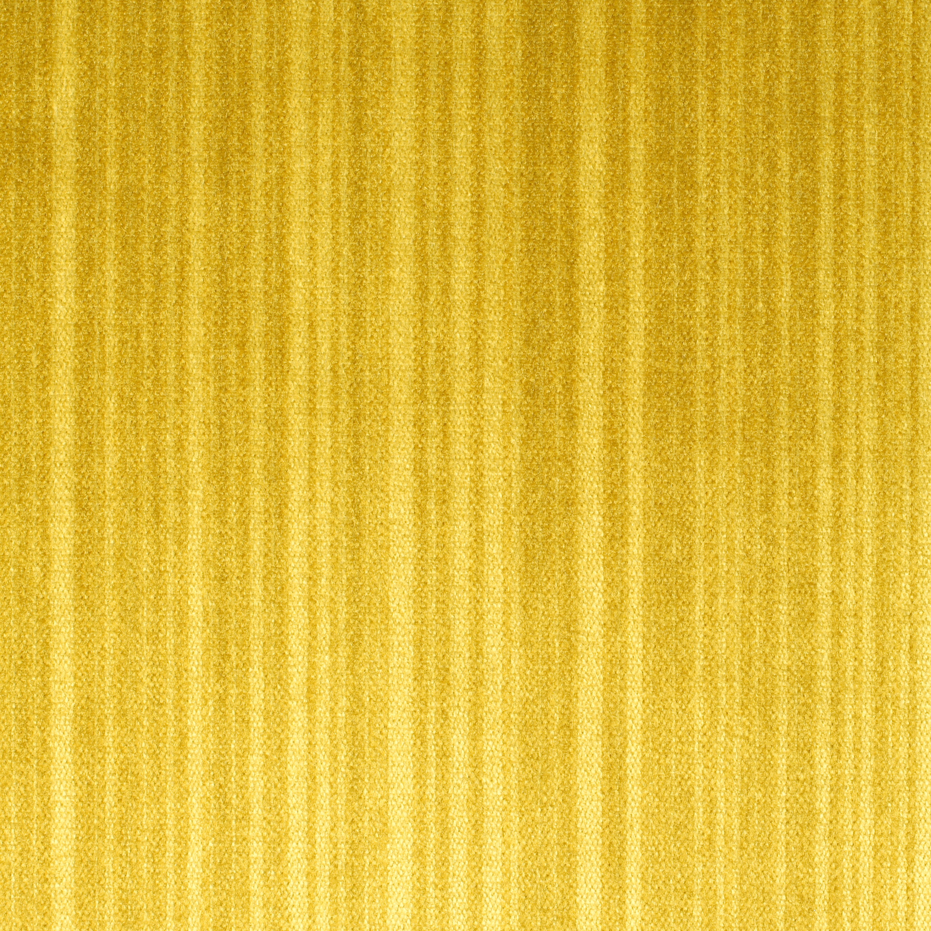 Palas | 2550