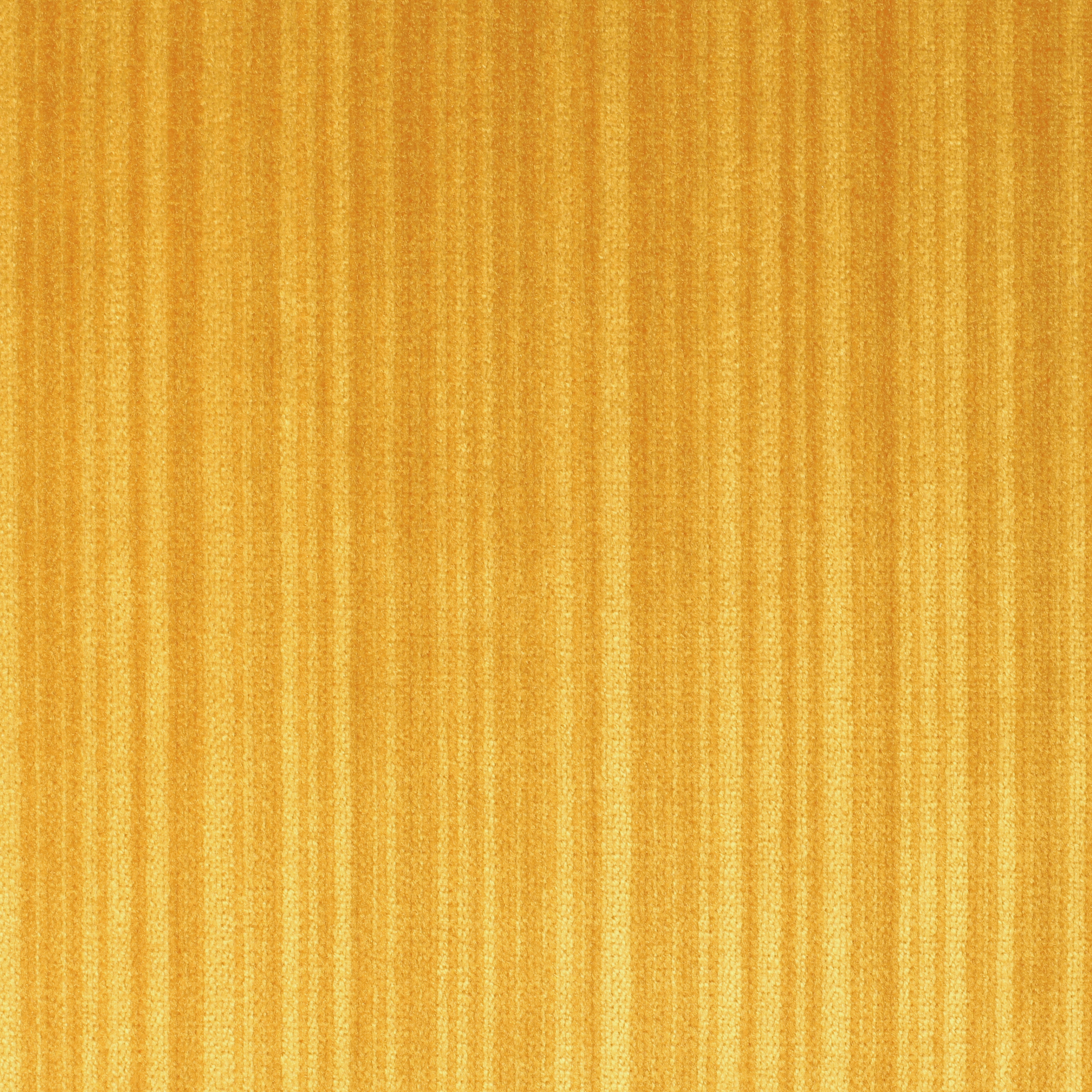 Palas | 2551