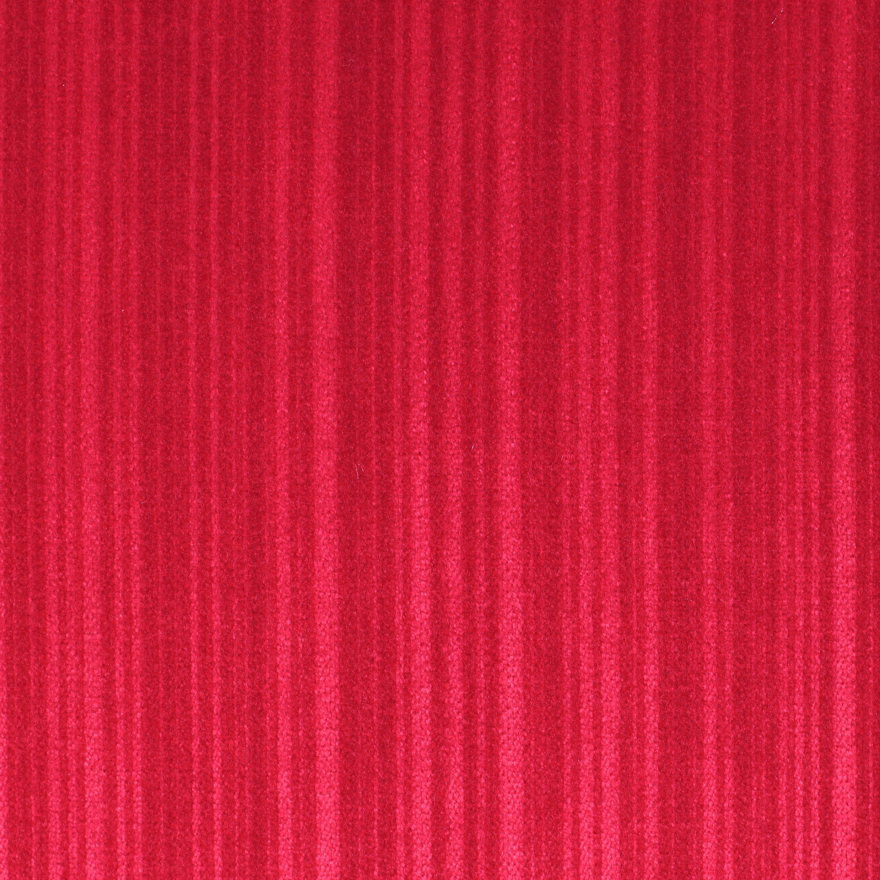 Palas | 3551