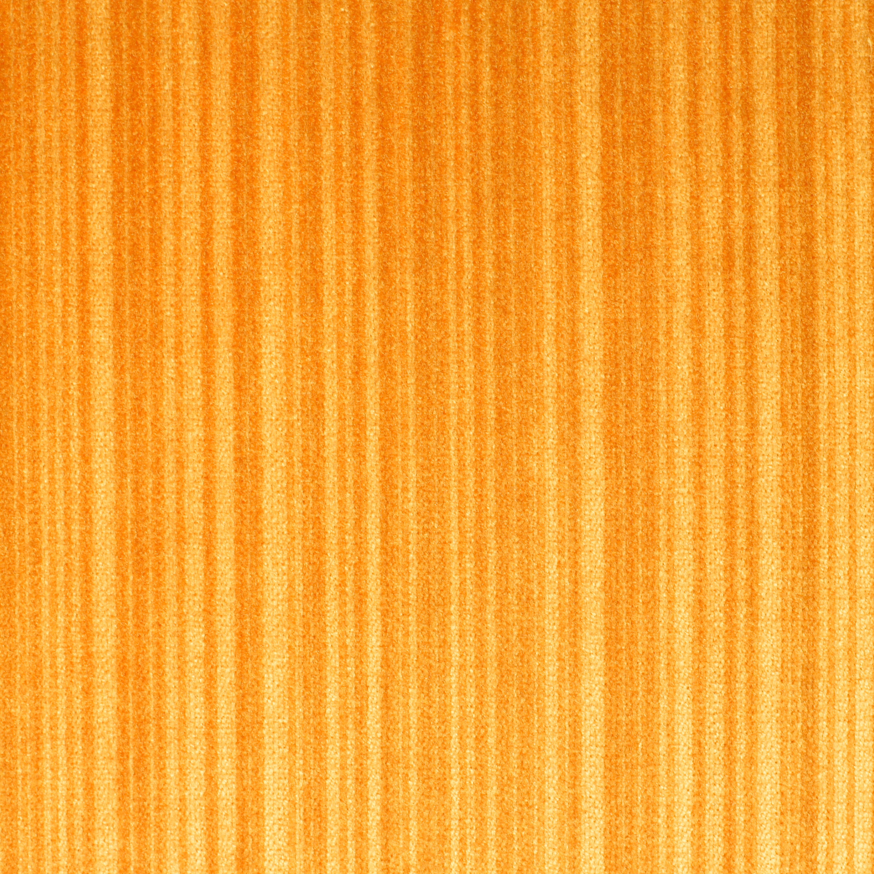 Palas | 3554