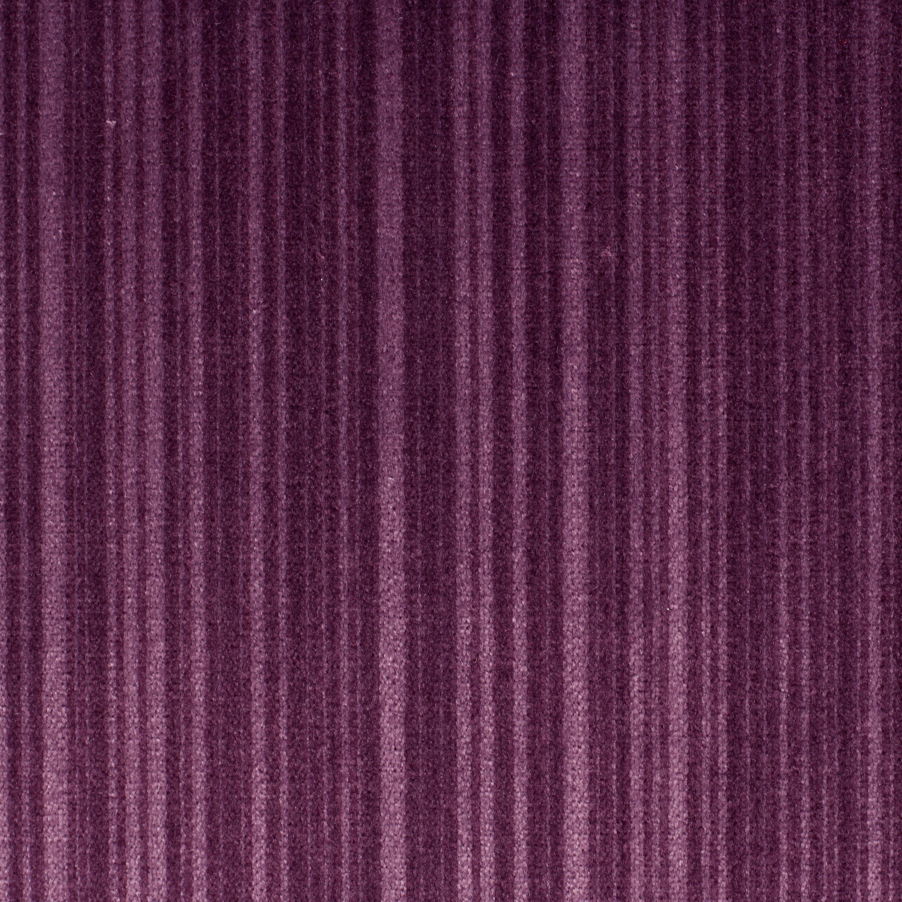 Palas | 4551